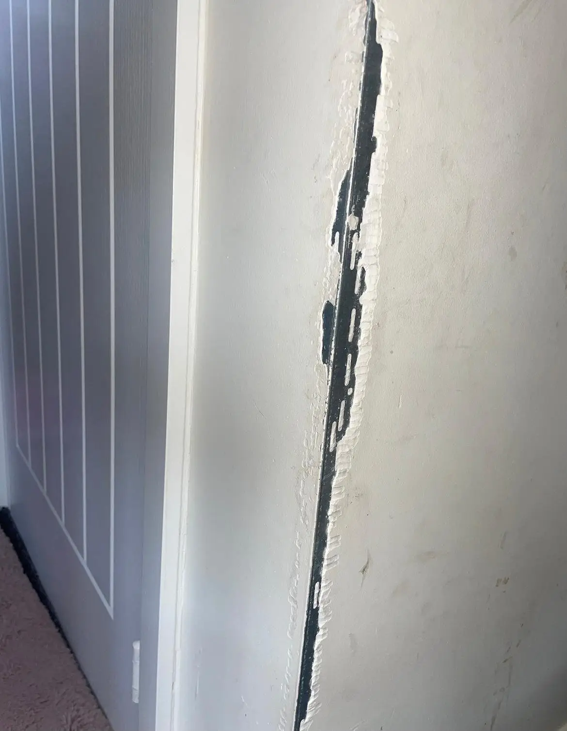 Dolly has to undergo regular blood tests due to her condition.