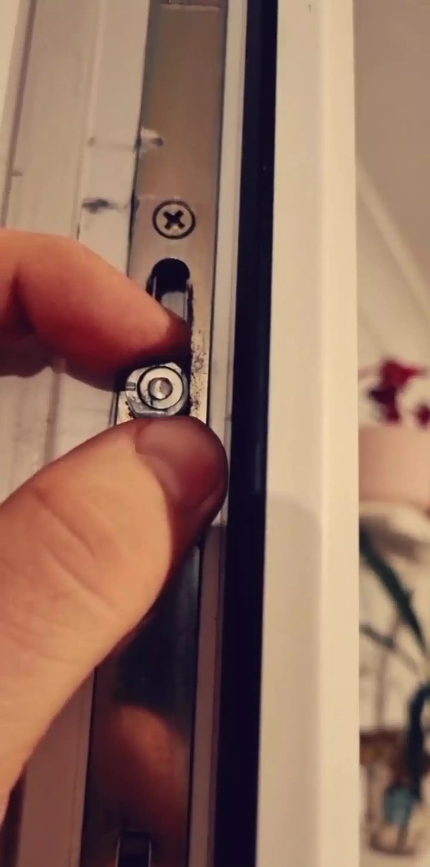 TikTok users were baffled by the revelation. (TikTok/@allacy496)