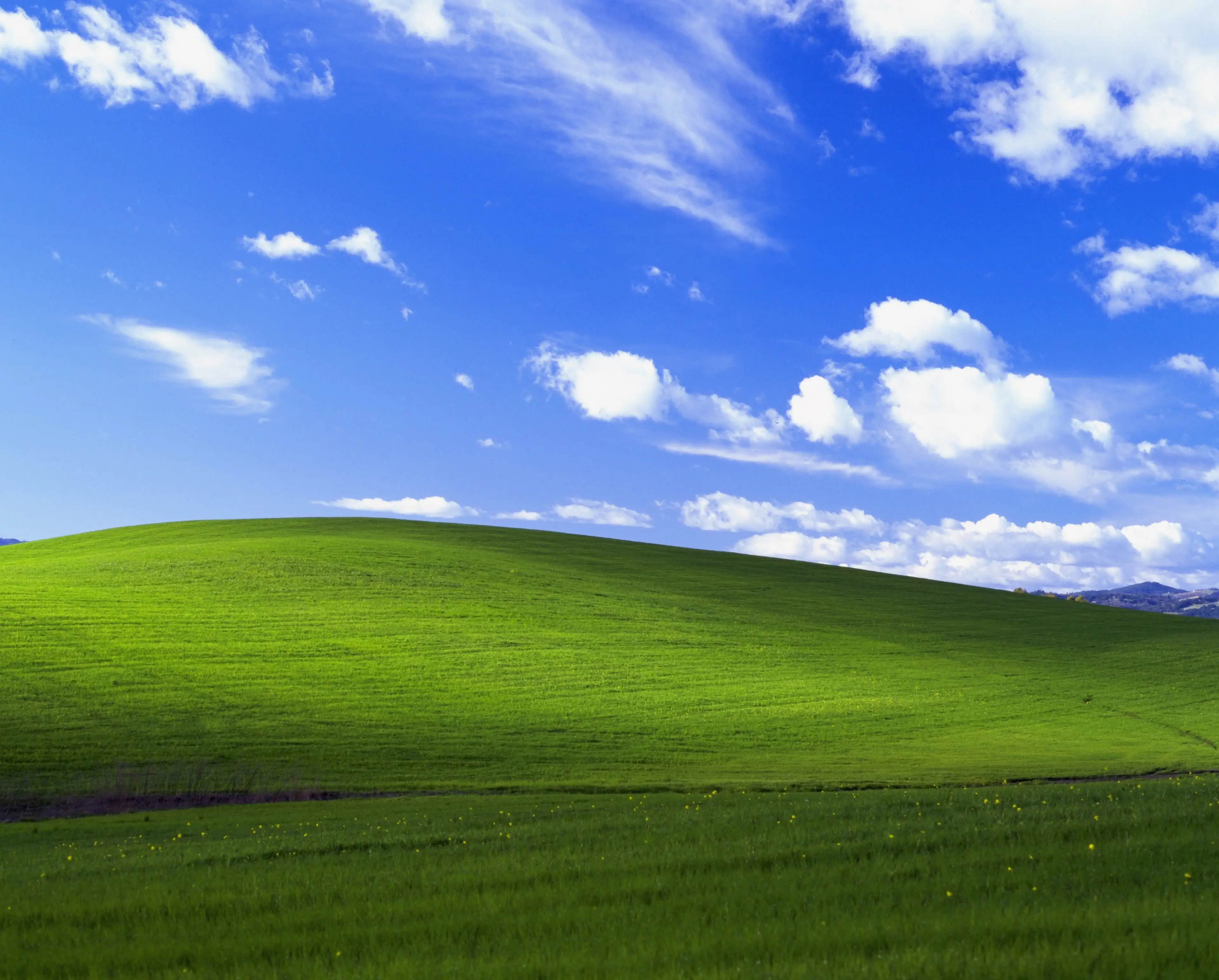 The photo became world-famous as the Windows XP image (Microsoft Windows XP)