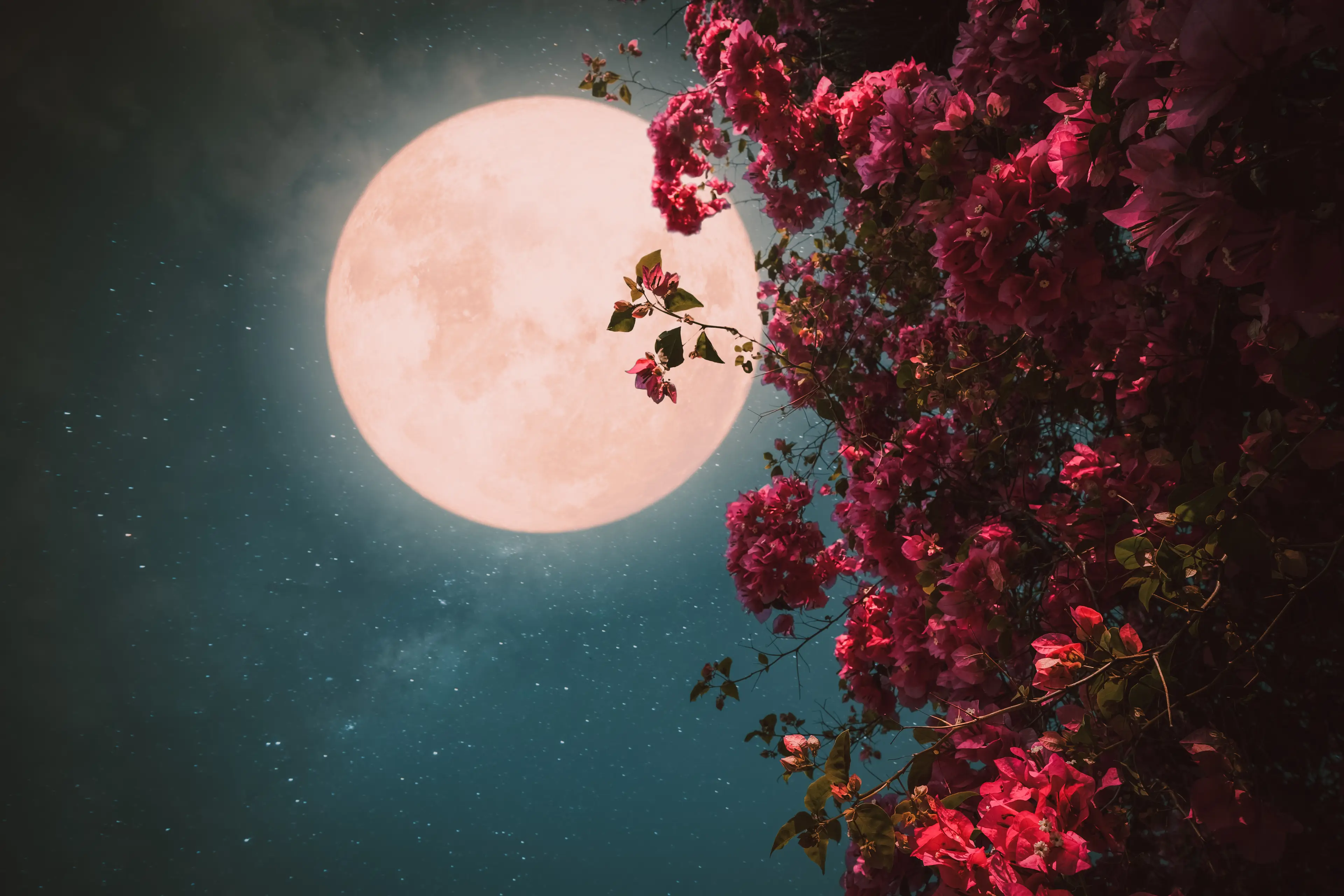 Tonight's moon is the Flower Moon in Scorpio - here's what it means for you (Getty Stock Image)