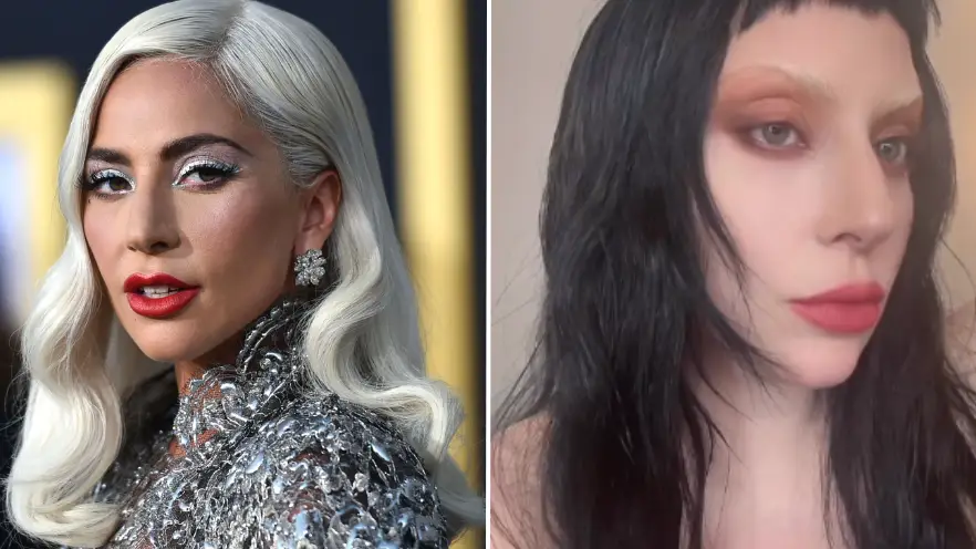 Neilson Barnard/Getty Images/Instagram/@ladygaga