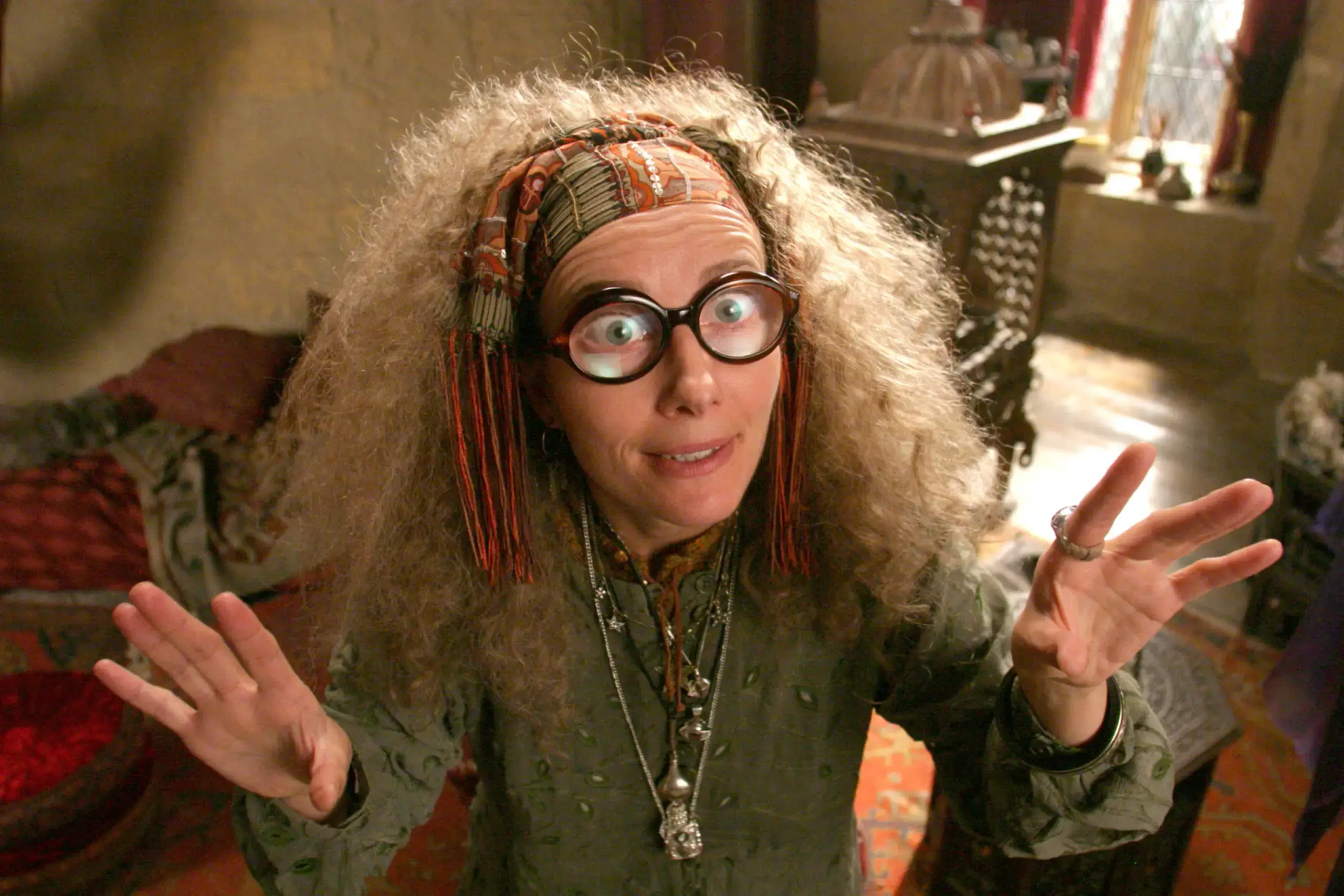 Professor Trelawney seemingly foreshadowed the death (Warner Bros.)