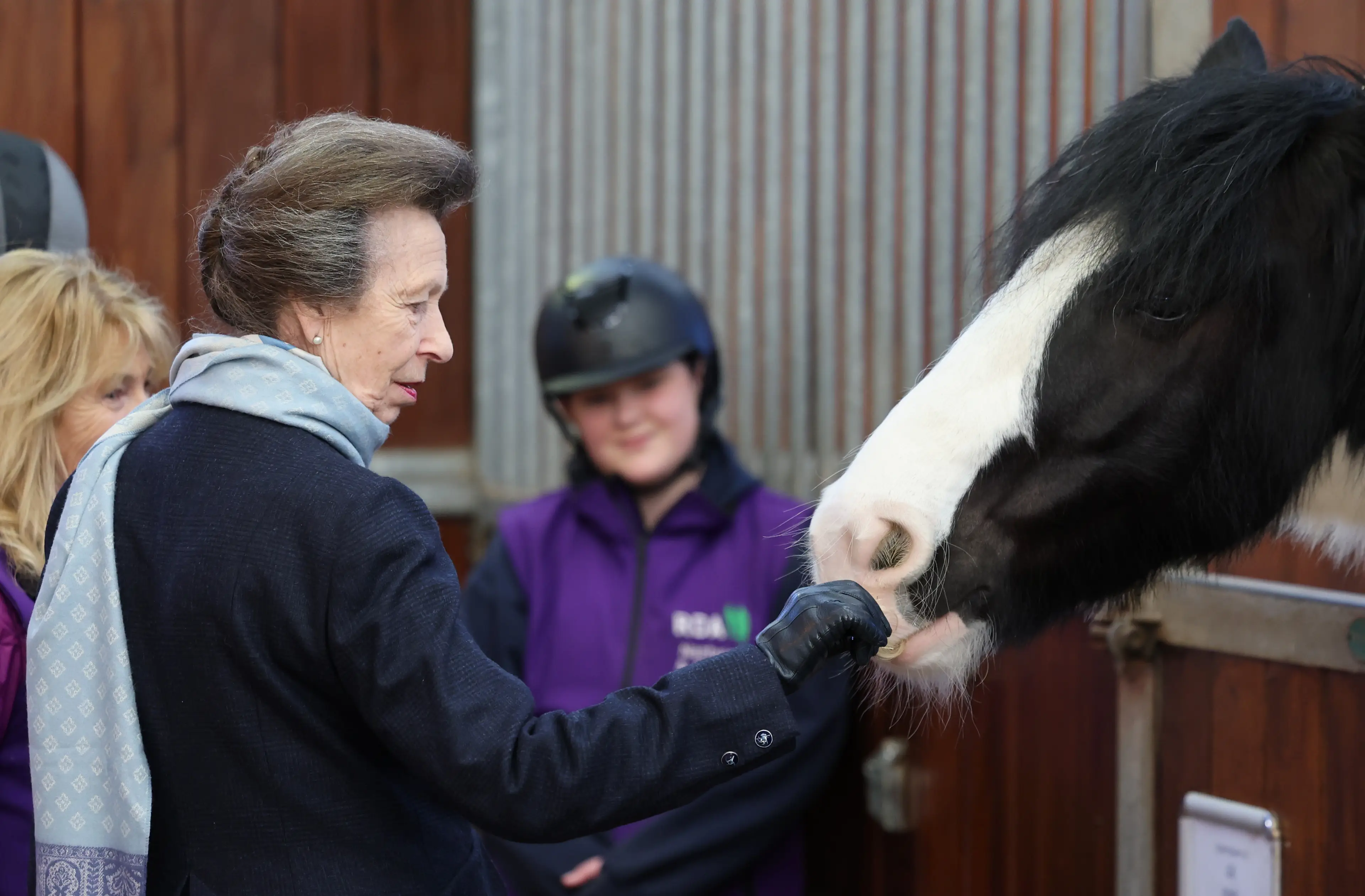 Princess Anne was kicked by a horse at her estate last year (Chris Jackson/Getty Images)