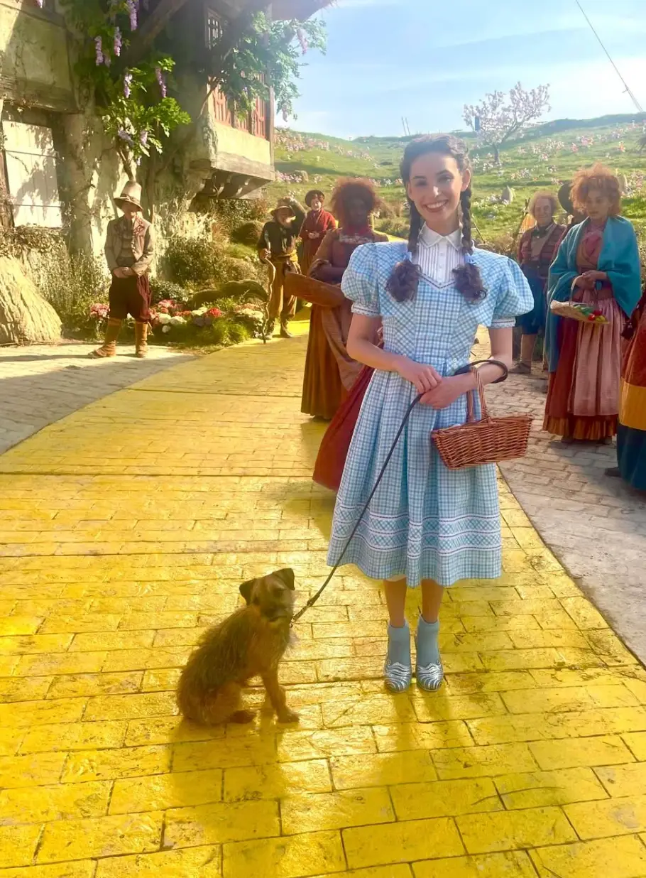 Toto is played by a Border Terrier in the latest Wicked movie (Instagram/@bethanyweavesx)