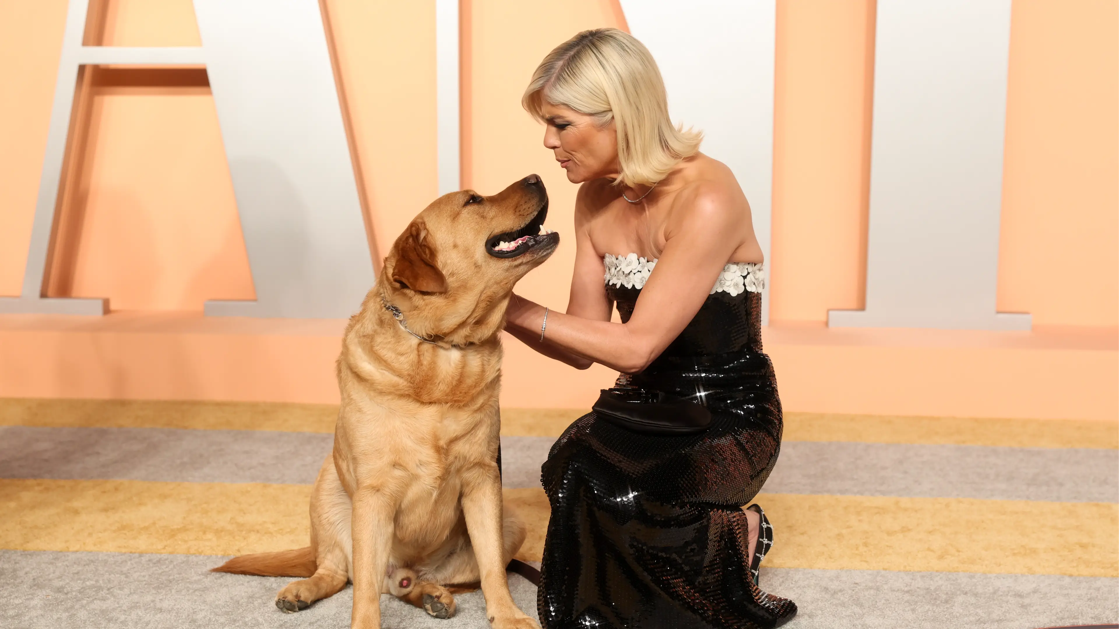 Emotional reason why Selma Blair brought her dog with her to Oscars party