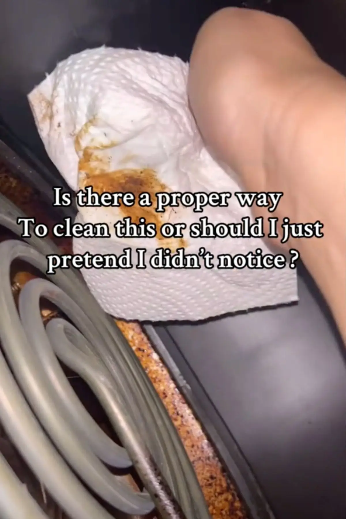 It's recommended you clean your air fryer after every use. (TikTok/@justcleanit)