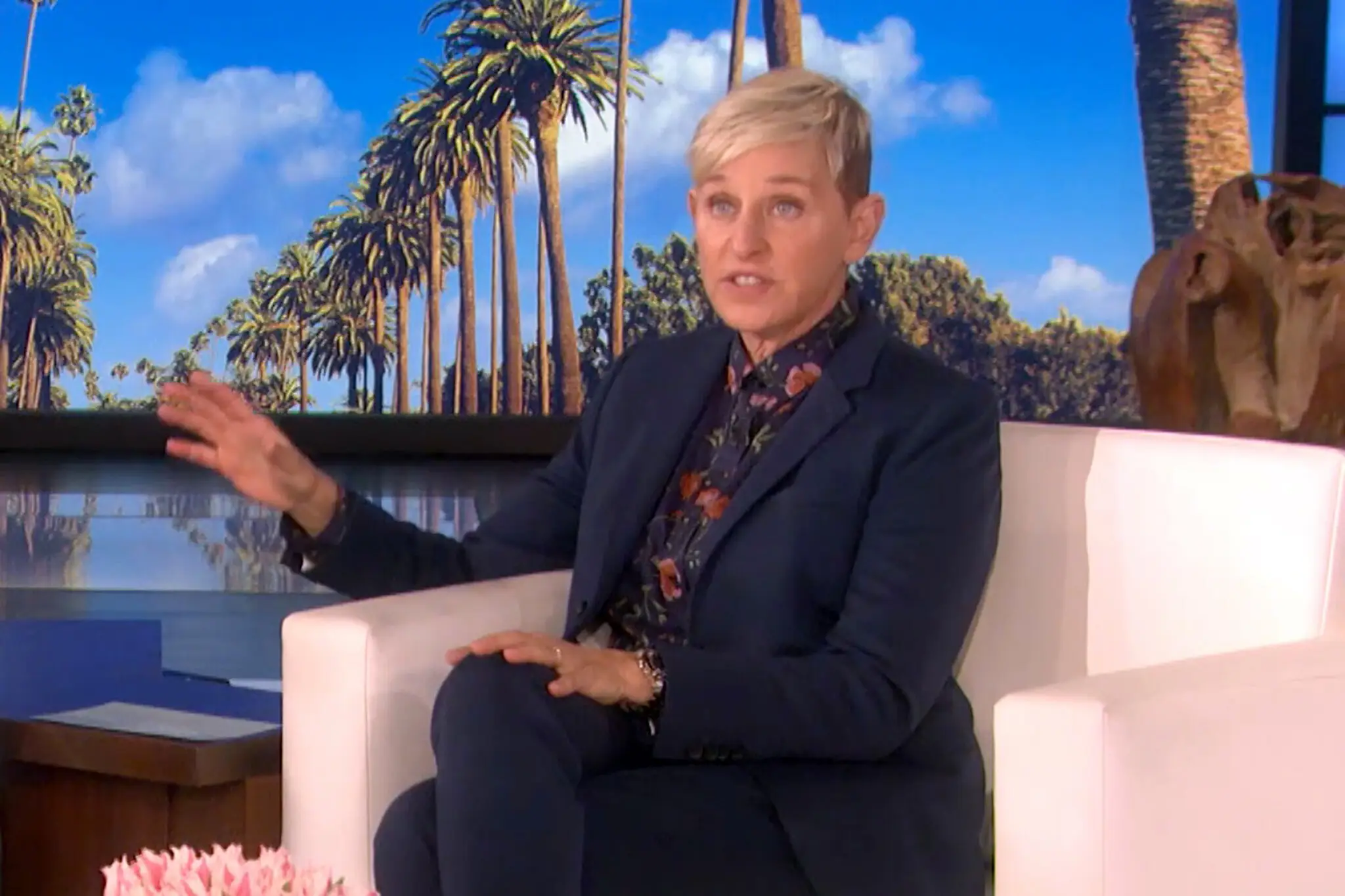 Ellen DeGeneres and her wife Portia de Rossi now live in the Cotswolds (The Ellen Show)