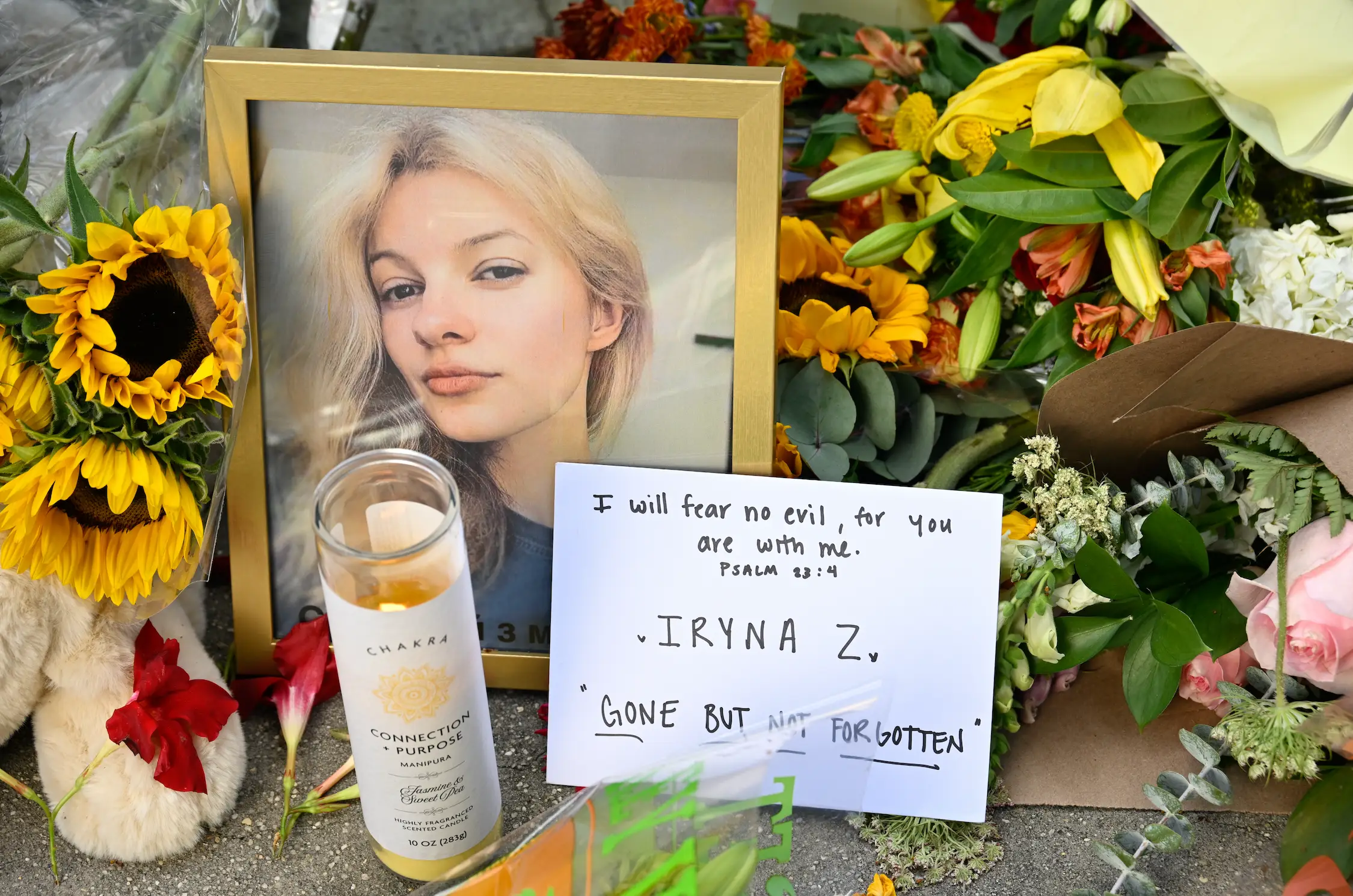 A new law has been put forward Zarutska's death (Peter Zay/Anadolu via Getty Images)