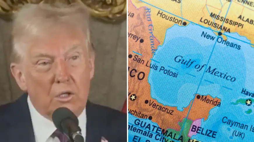 MSNBC/Getty Stock Image