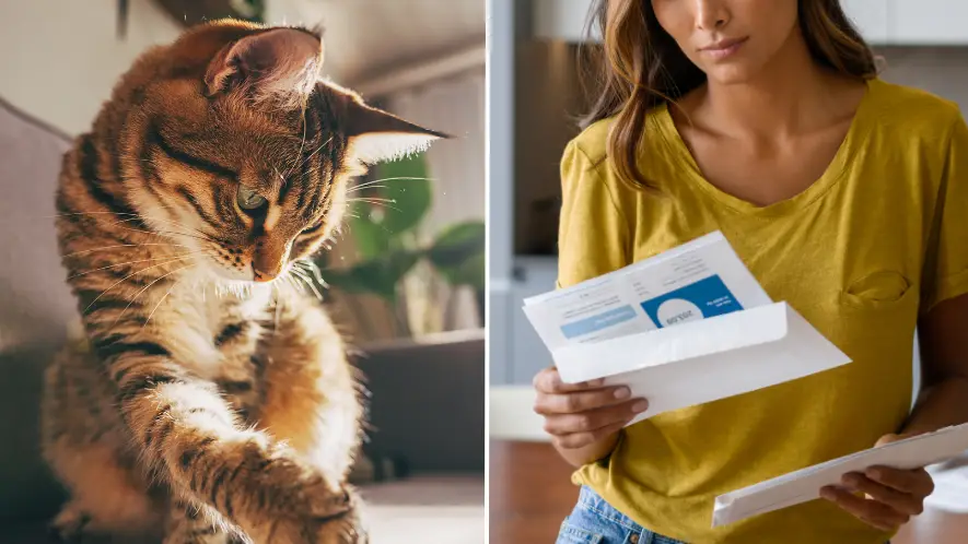 Kseniya Ovchinnikova/Hispanolistic/Getty Images