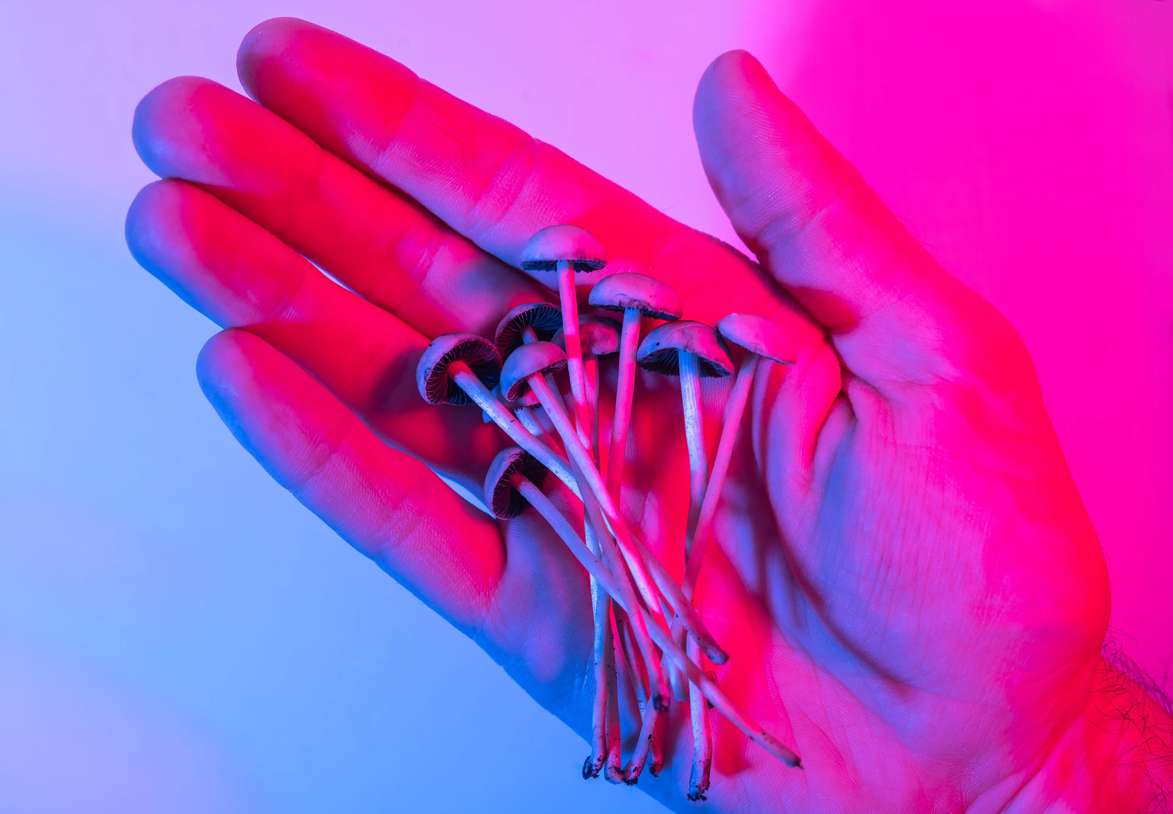 Scientists have explored what actually happens to your brain when you take magic mushrooms (Getty Stock Image)