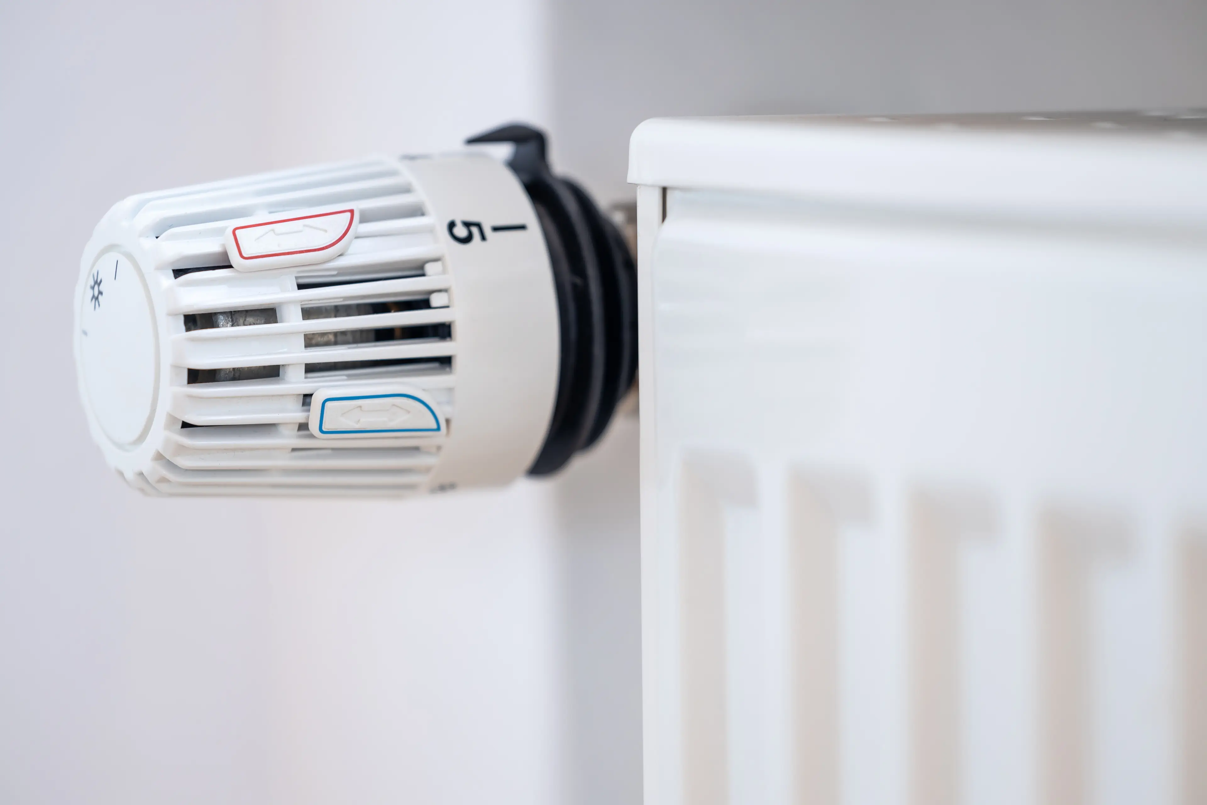 Alphonsine had been left unable to heat her house (Getty Stock Image)