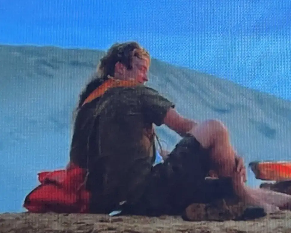 The scene has left viewers confused (Netflix)