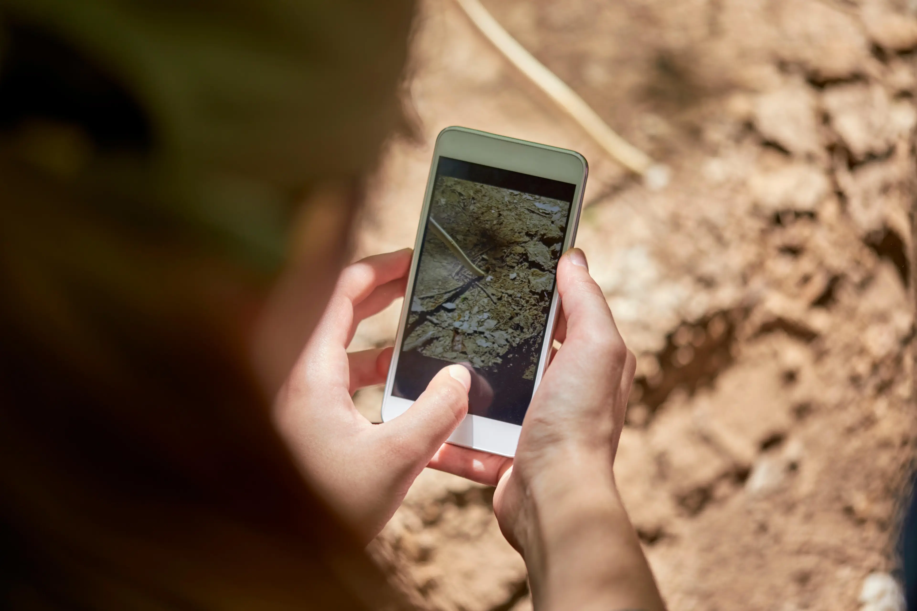 Sharing images across devices has never been so easy. (