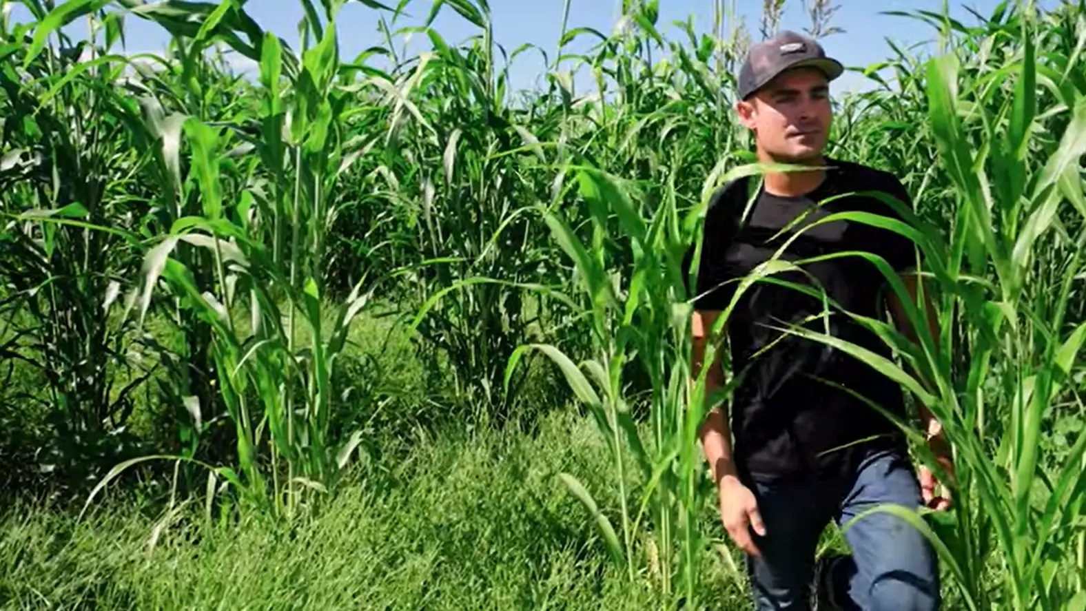 Zac Efron is back with a second series of his Netflix show.