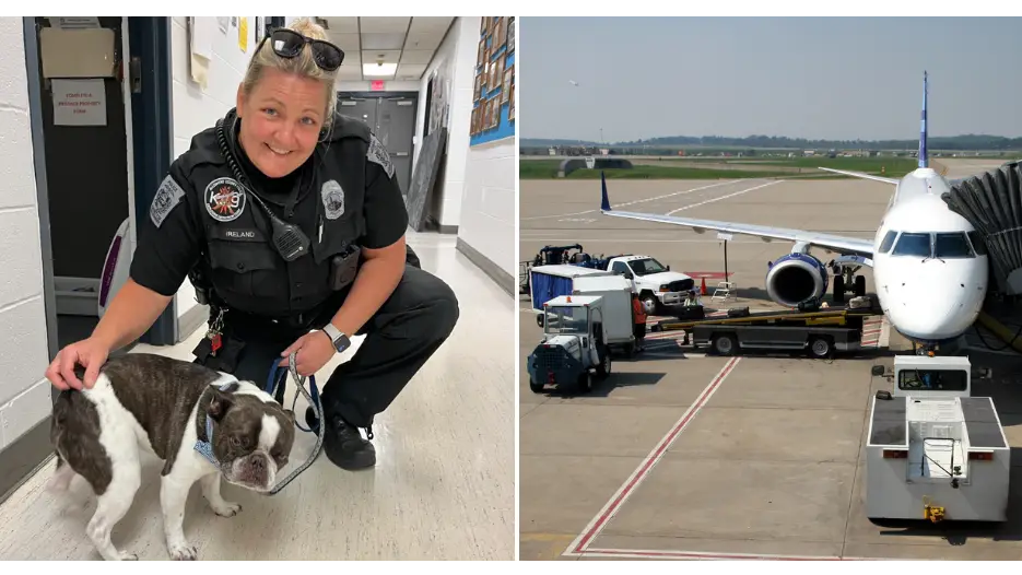 Woman abandons dog in airport car park when staff refused to let pet on board flight