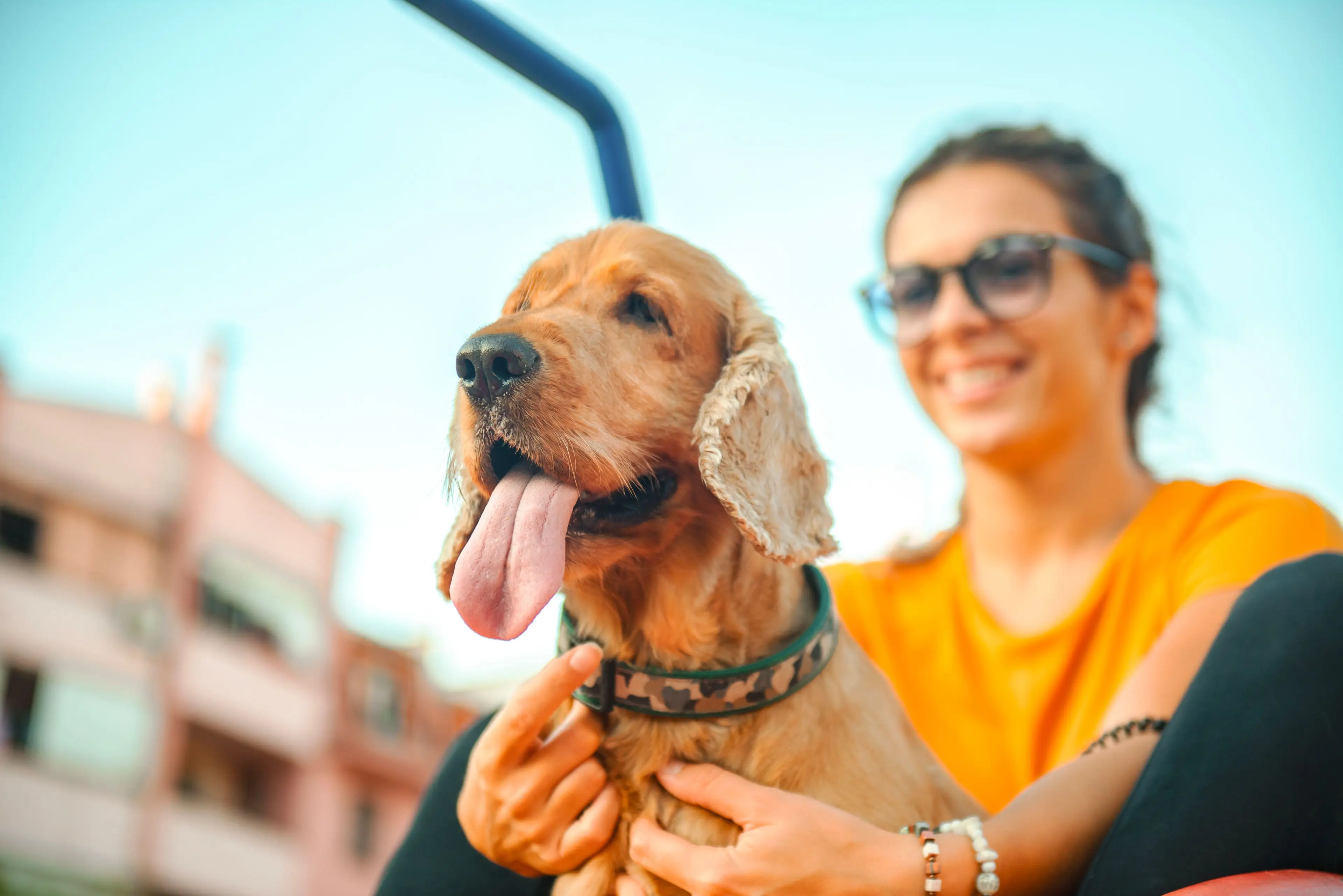 A neighbour has disclosed how they dealt with dog fouling. (Viktor Cvetkovic/Getty Images)