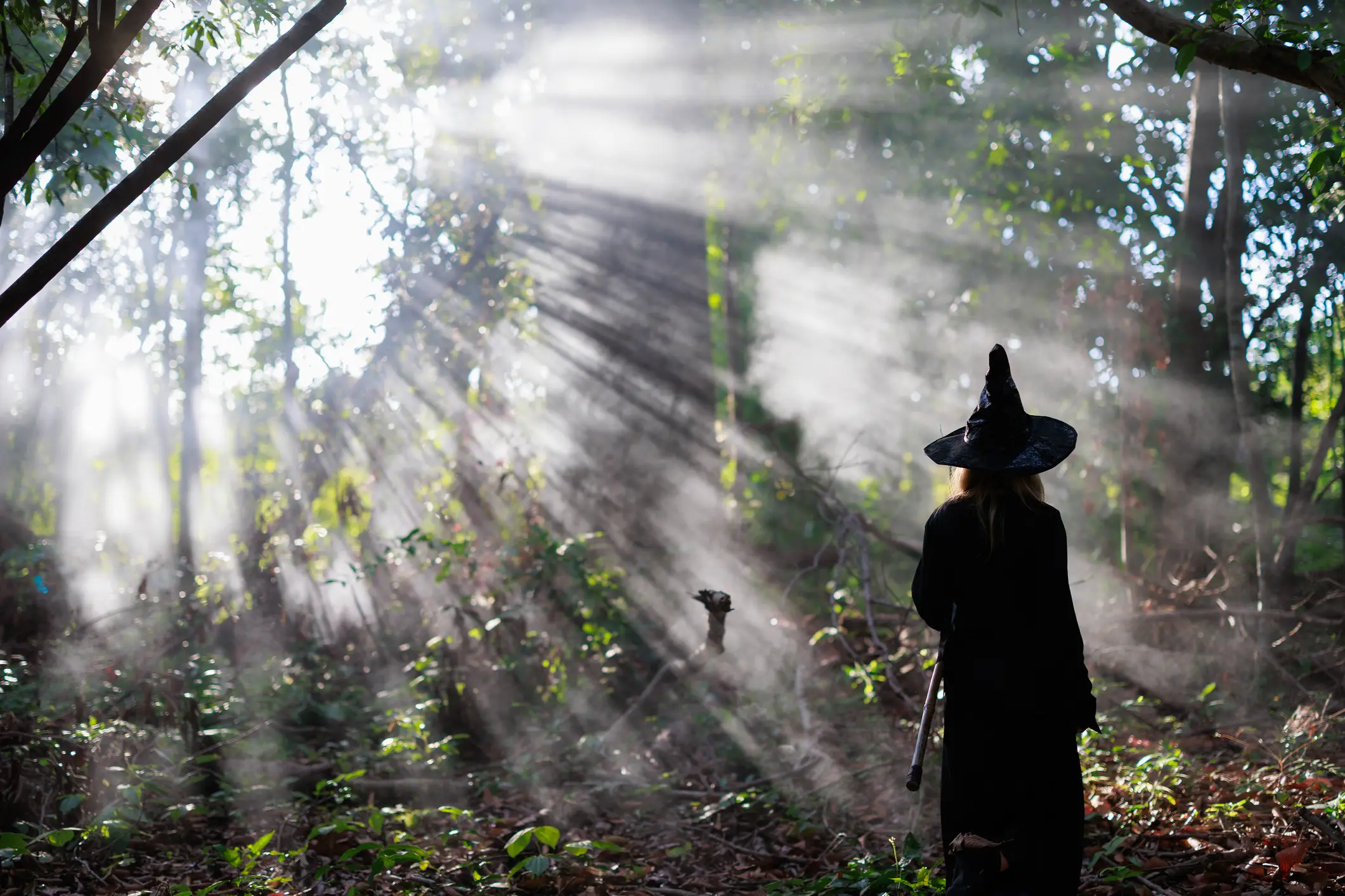 A 'witch' in 2026 is far from the stereotypical woman flying across the night sky with a broomstick (Getty Stock Image)