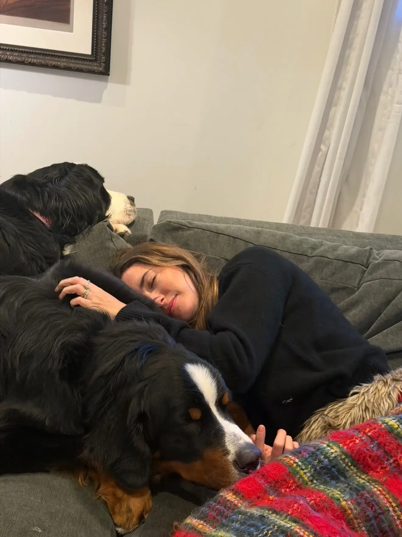 Madeleine White has publicly called out the company she claims caused her dog's death (Instagram/@madeleinecwhite)