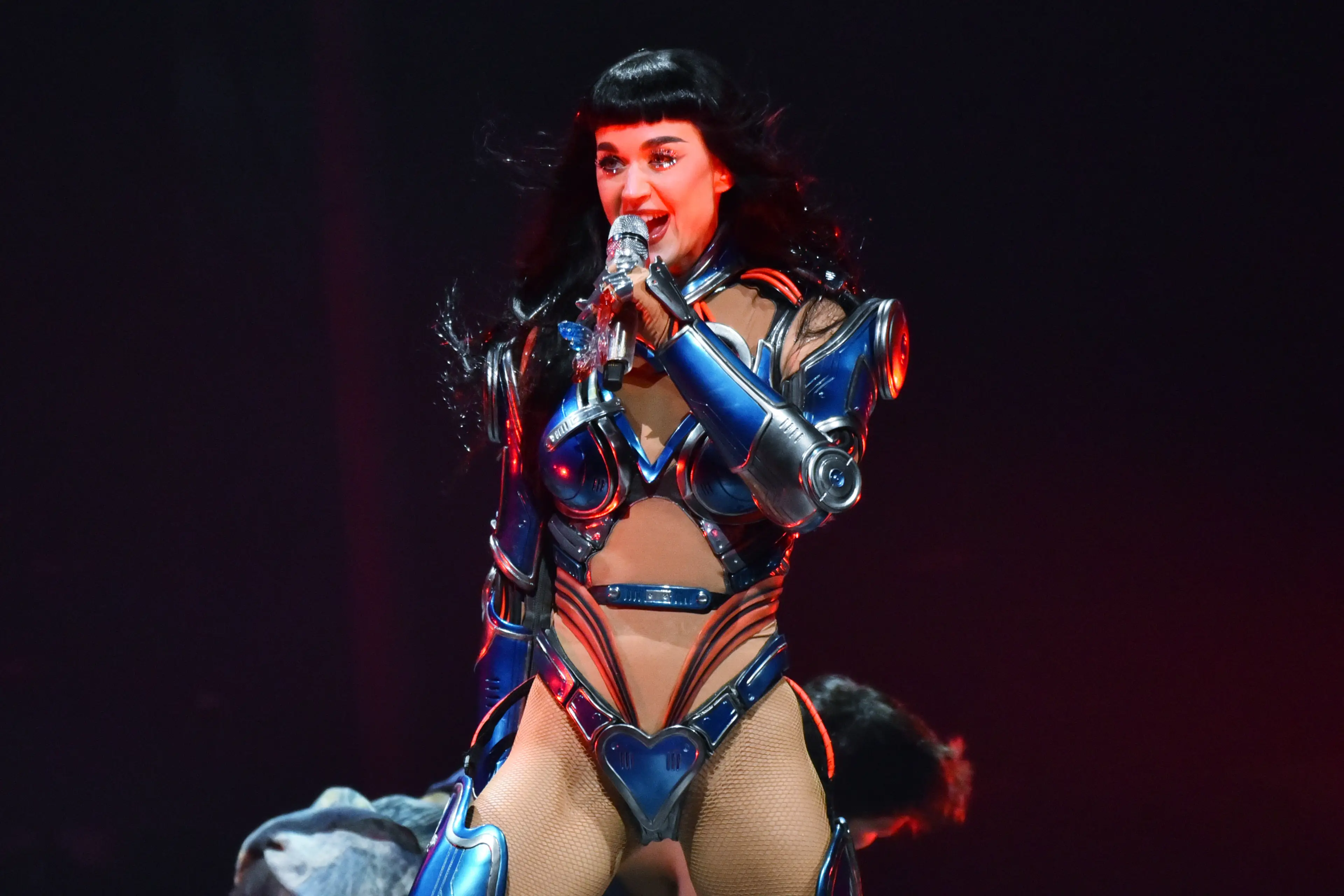 Trudeau attended one of Perry's concerts (Jim Dyson/Getty Images)