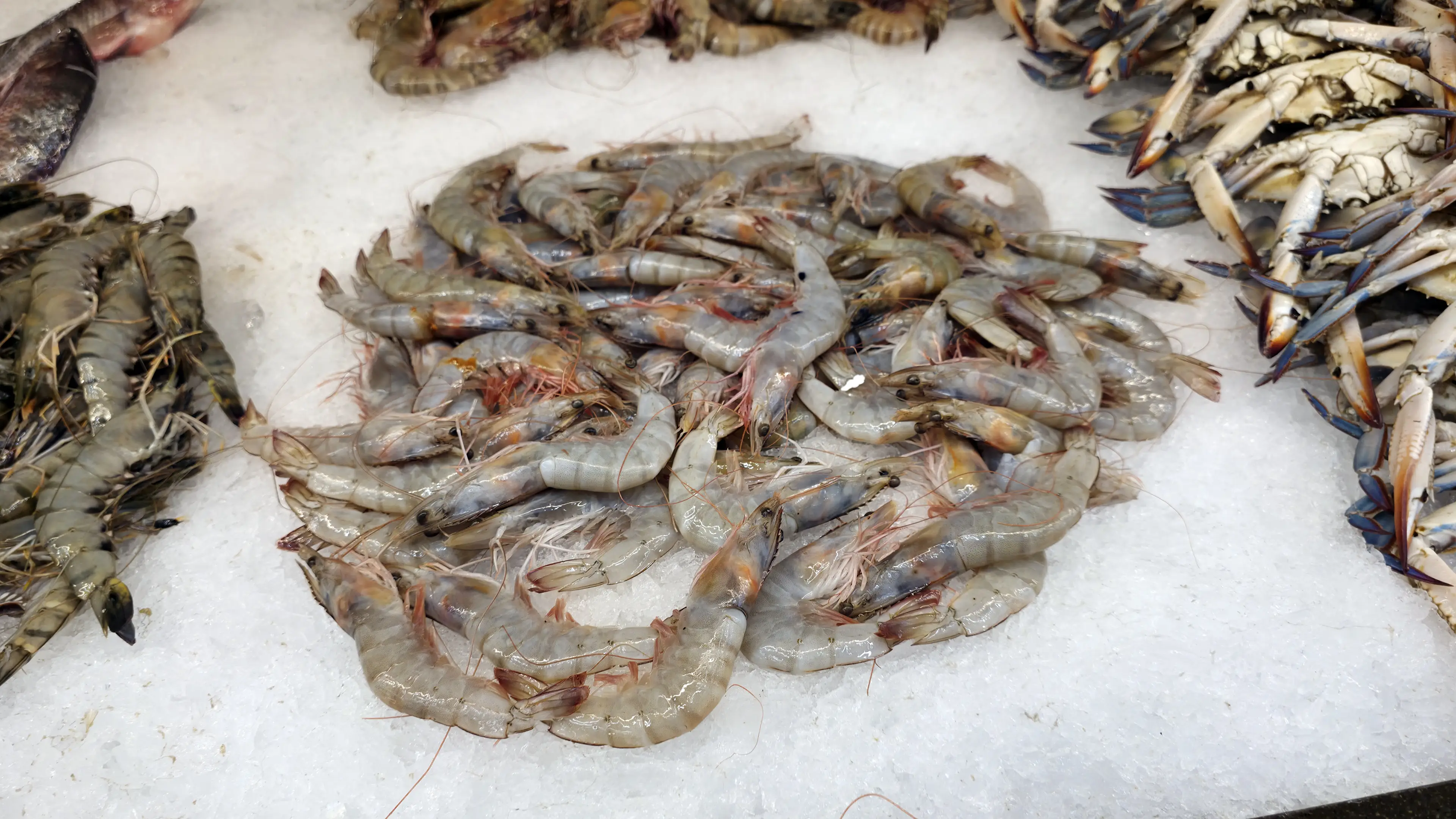 No illness related to eating spiked prawns have been reported (Getty Stock Image)