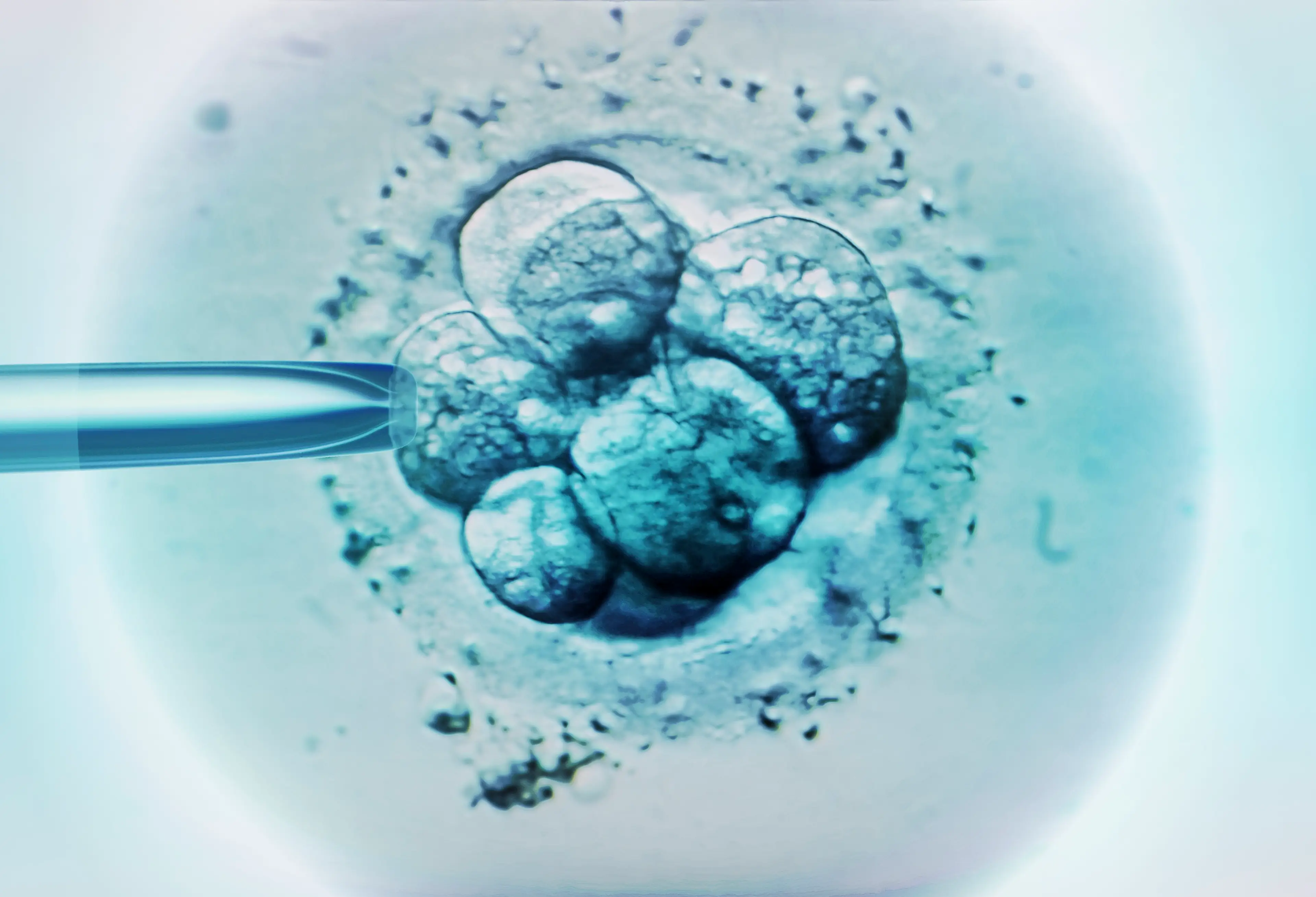 Thaddeus was born via IVF (Getty Stock Image)