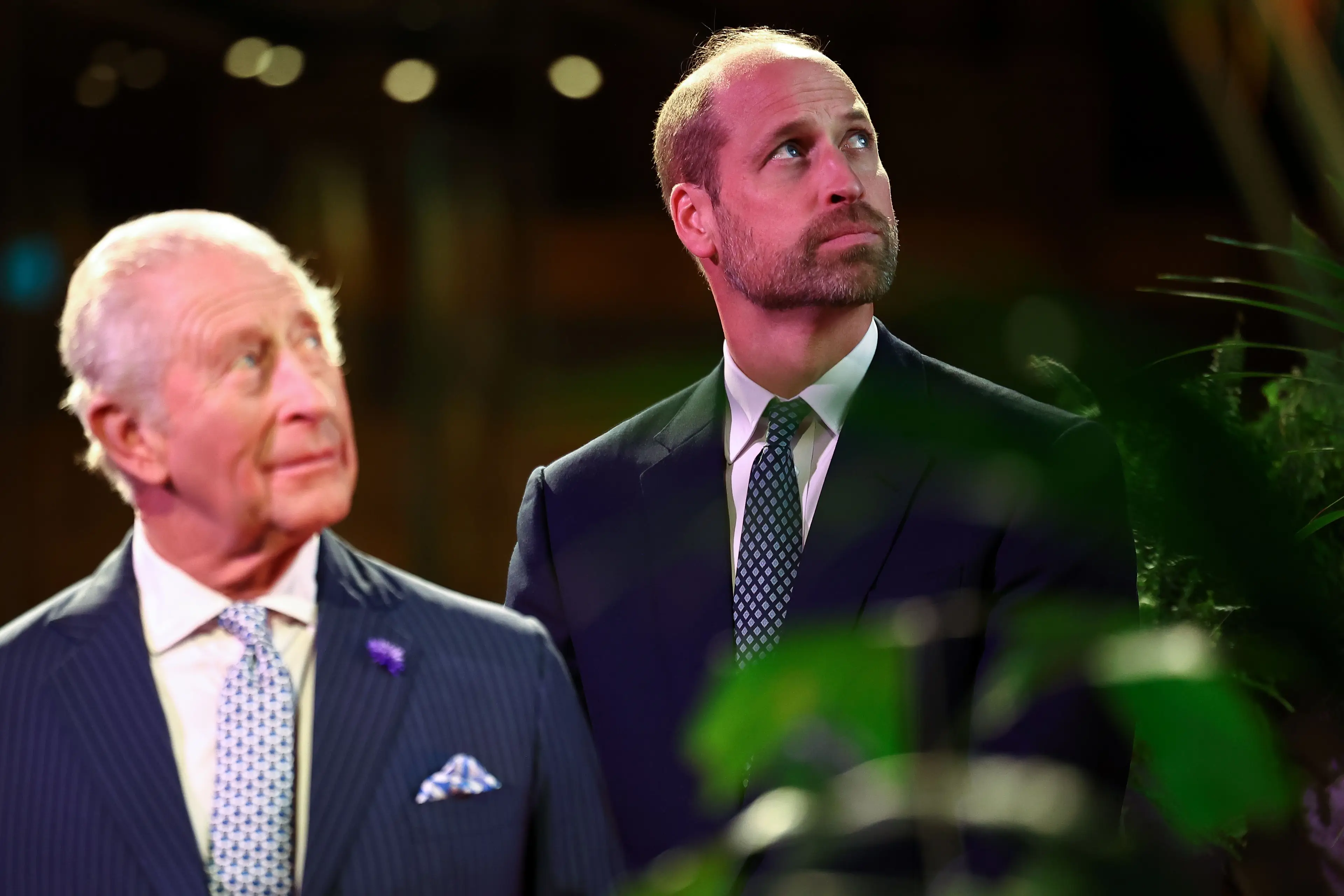 William is expected to remove the titles from a number of royals (Henry Nicholls-Pool/Getty Images)