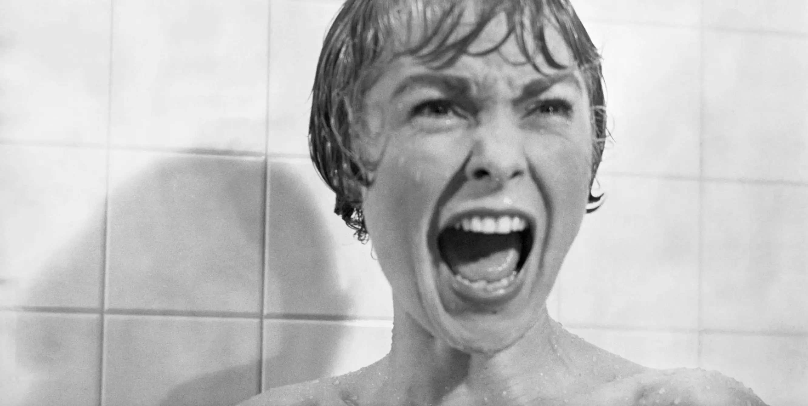 Janet Leigh in Alfred Hitchcock's Psycho (Paramount Pictures)
