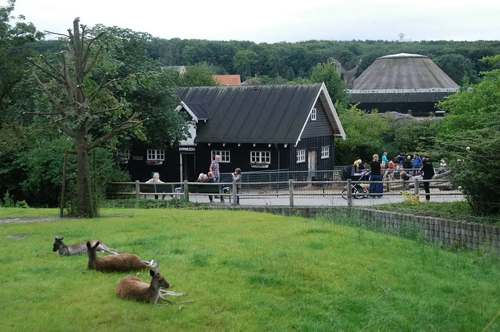 The Aalborg Zoo in Denmark came under fire following a controversial request it put out to pet owners (Peter Bischoff / Stringer / Getty Images)