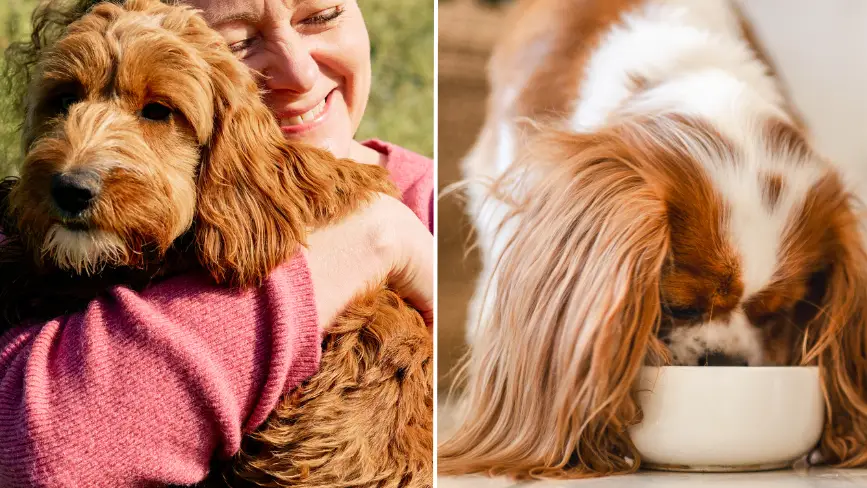 Gary Yeowell/Su Arslanoglu/Getty Images