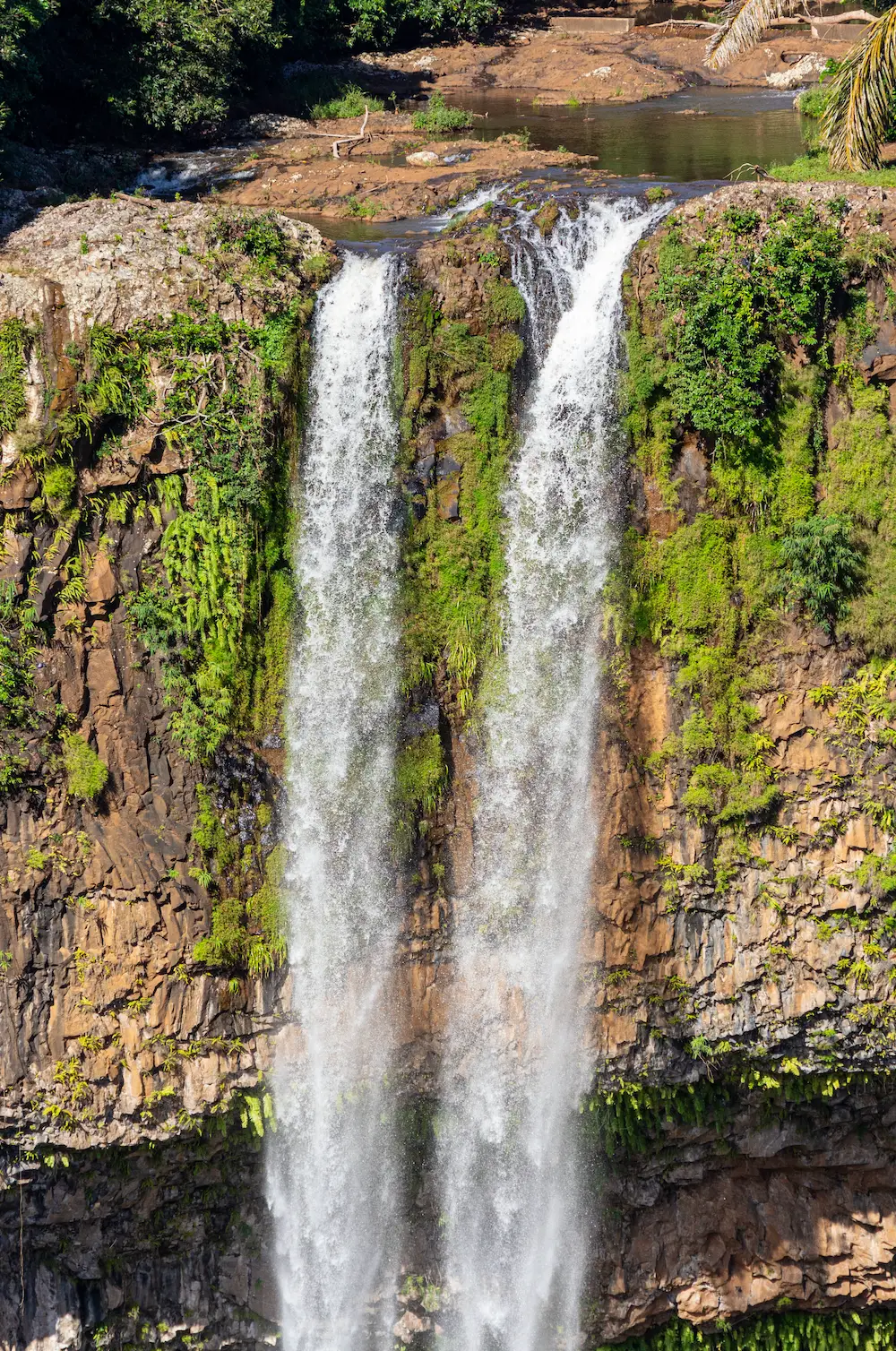 Kamdar was declared dead upon arrival at the hospital. (Reinar/Getty)