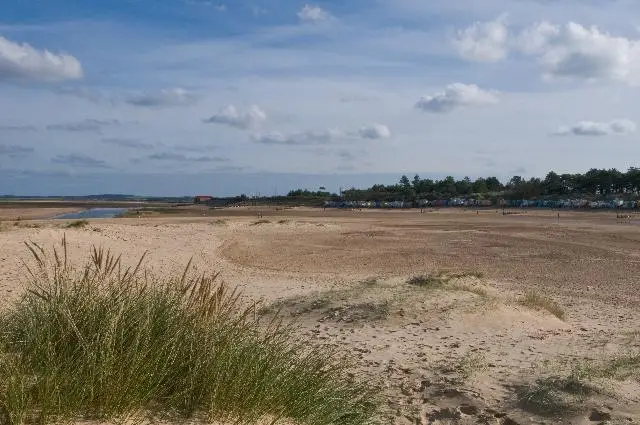 Tragedy struck on a New Zealand beach.