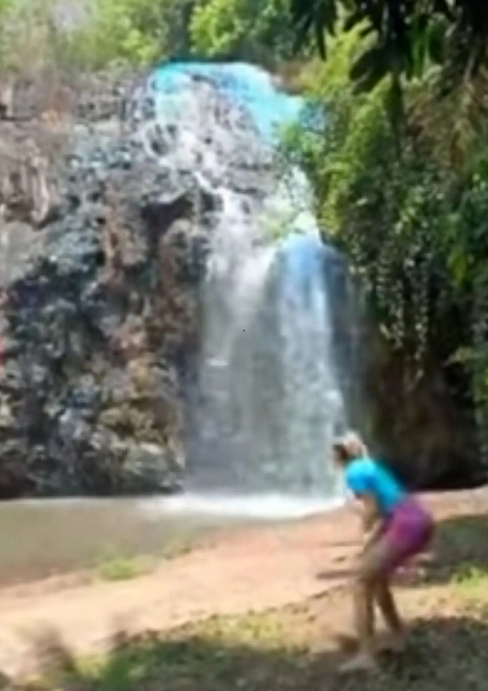 Investigations are now underway to see if an environmental crime has been committed.