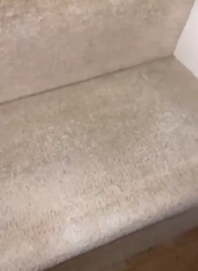 The carpet looks immaculate once Laura is finished with it.