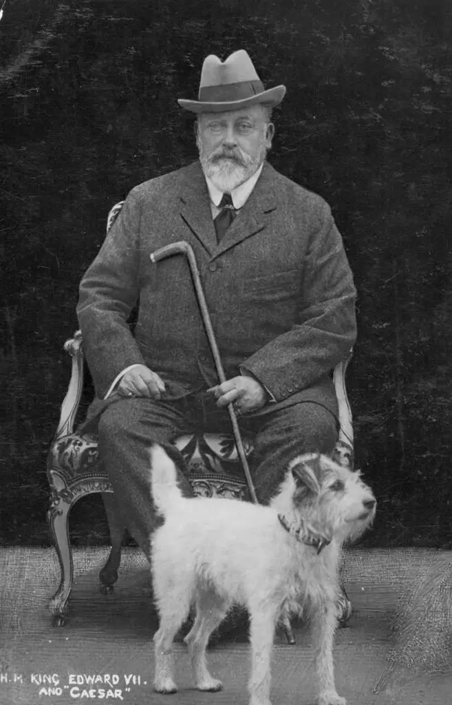 King Edward pictured with his beloved Caesar (Hulton Archive/Getty Images)