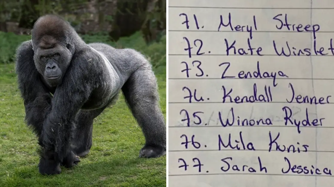 Getty Stock Image / TikTok/@Ecwe._