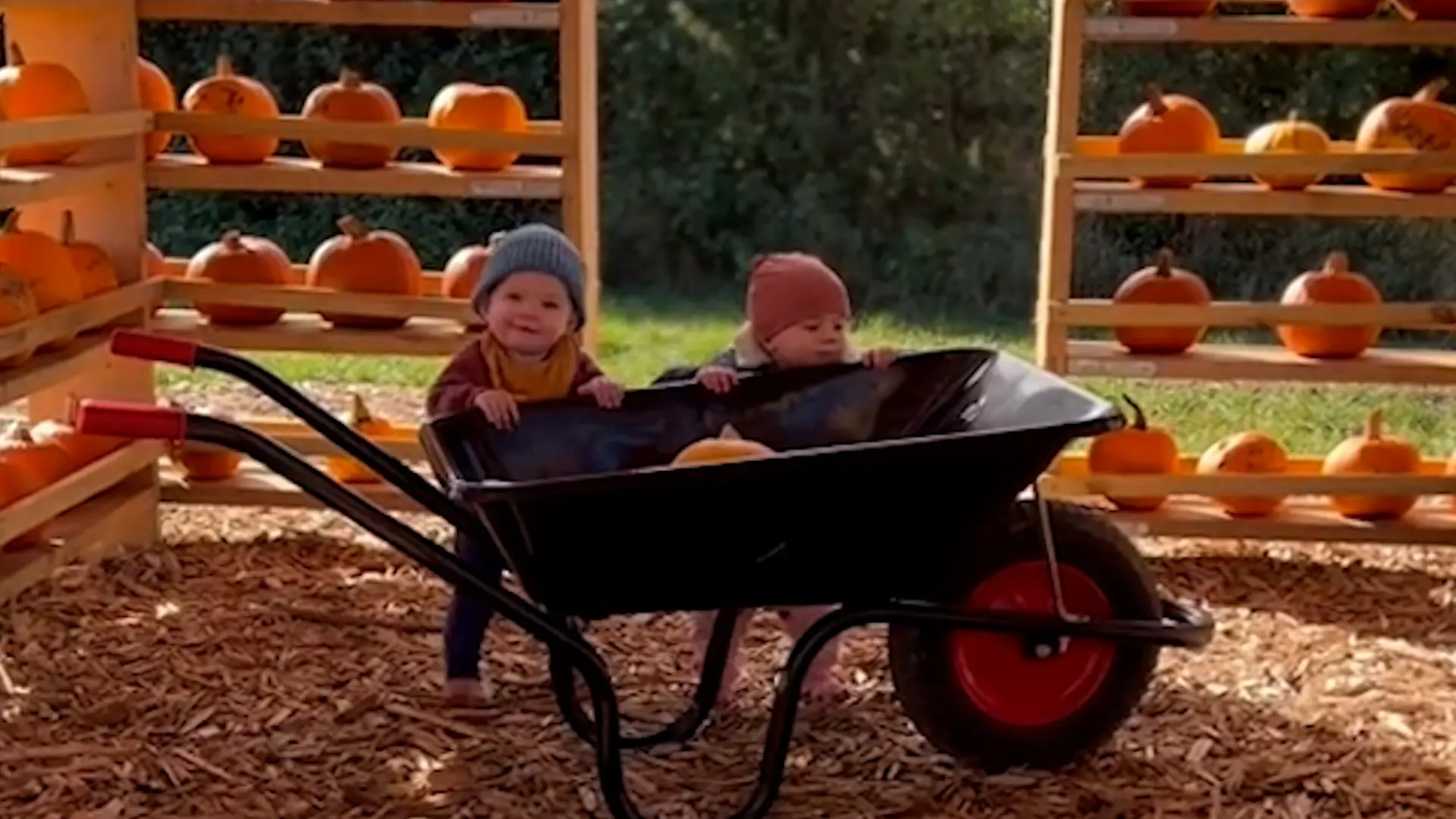 Twin sisters who fell pregnant around the same time gave birth in the same hospital just days apart.