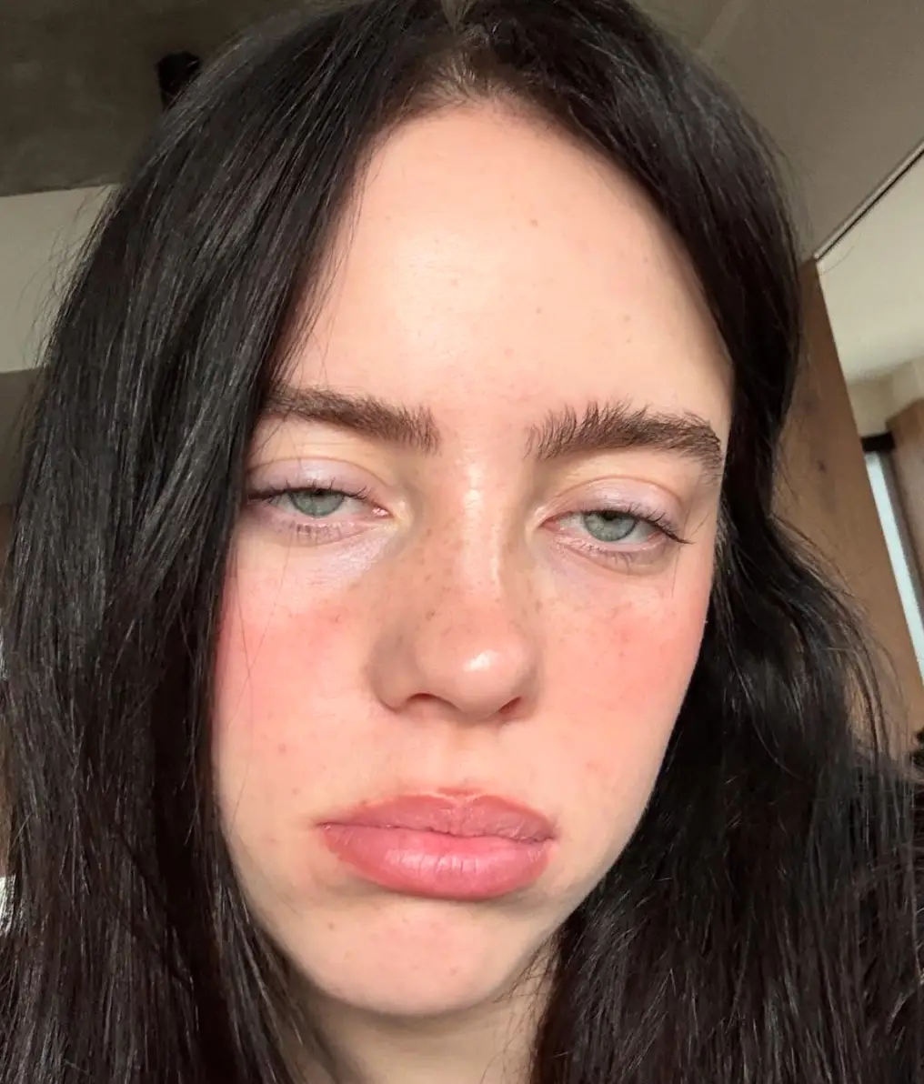 Fans shared their thoughts on the lyrics of Billie's popular track 'Lunch' (Instagram/@billieeilish)
