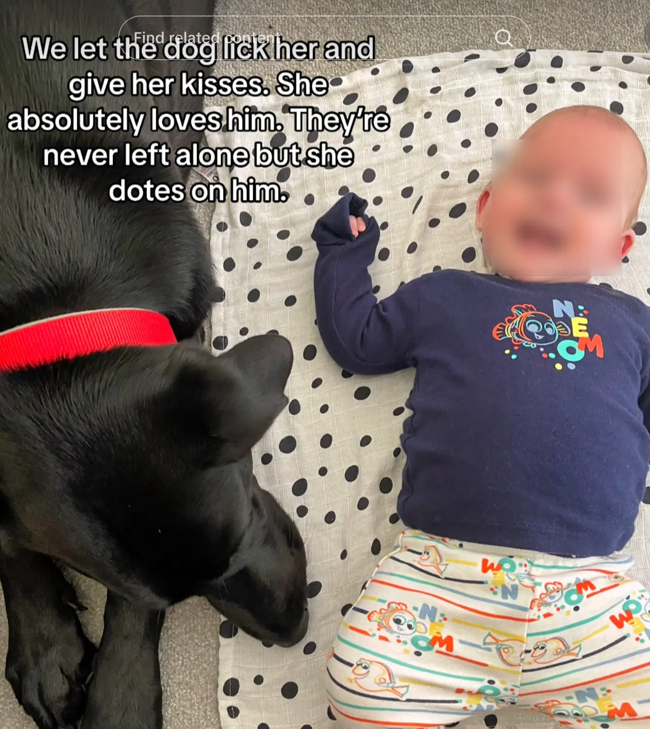 Linzi admitted that it's not always easy to stop the dog licking Daisy's face.