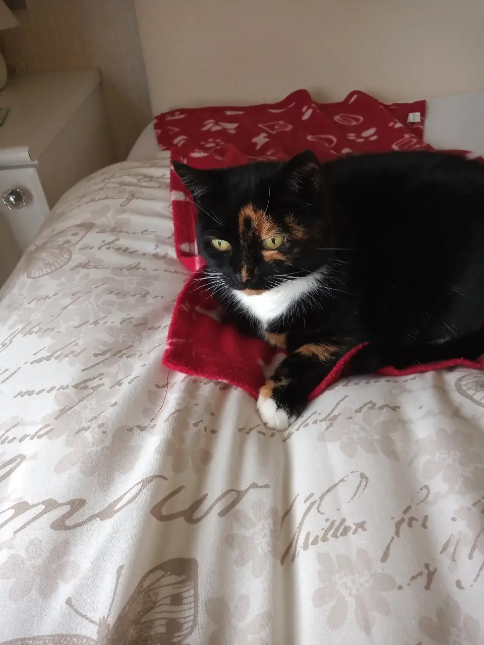 Ruby struggled to eat (