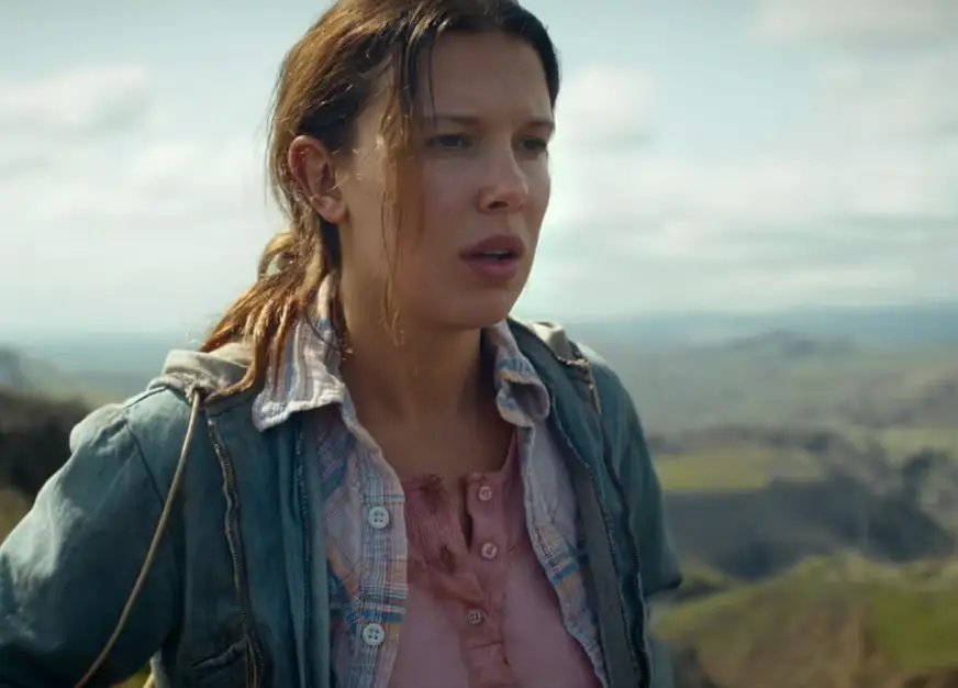 Fans were left wondering what actually happened to Eleven at the end of the finale (Netflix)