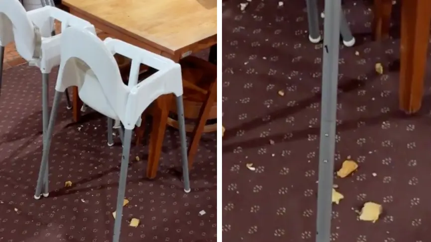 TikTok/@beau_the_legend