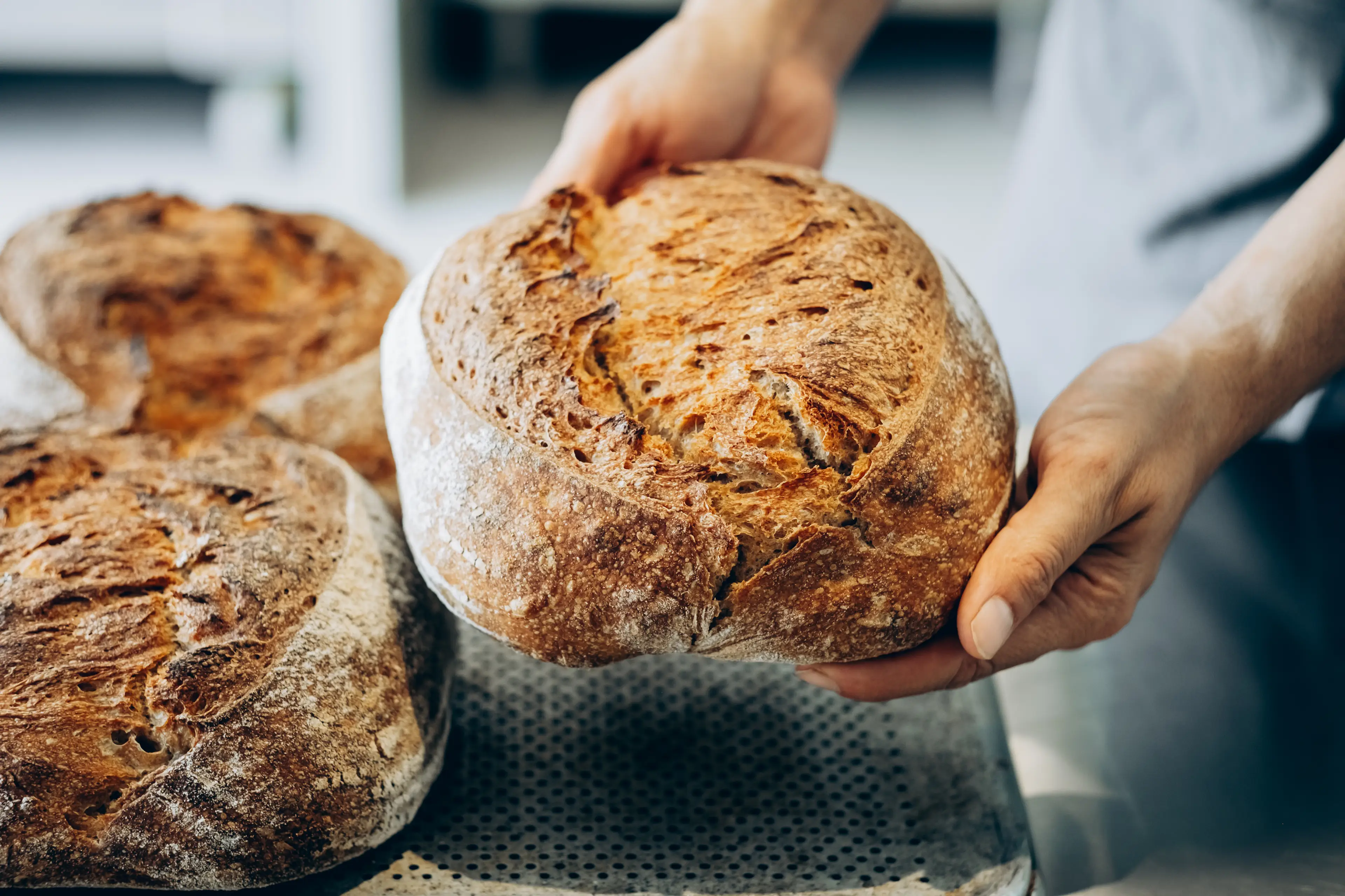 Experts have issued a warning about storing your loaf properly (Mariia Siurtukova/Getty Images)