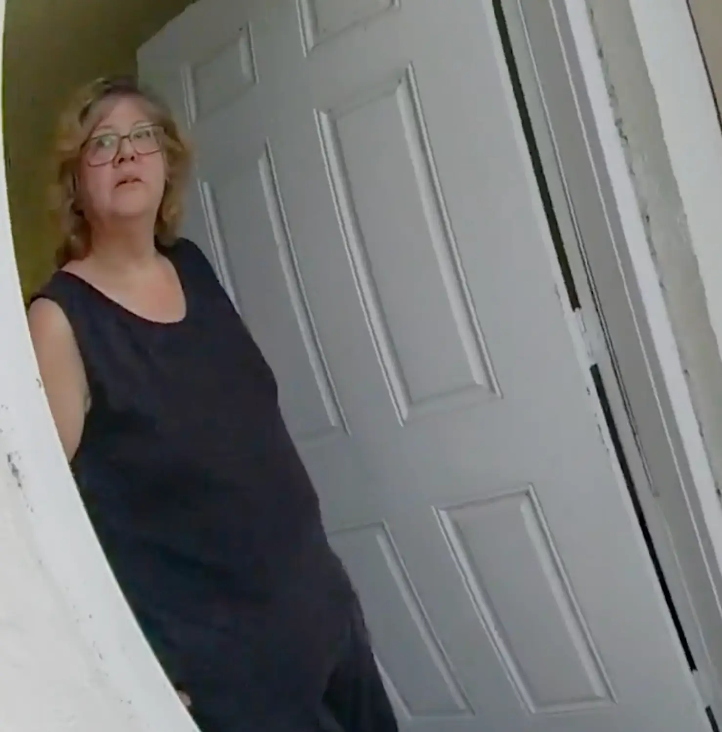 The Perfect Neighbor tells the story of the 2023 murder of Ajike Owens by Susan Lorincz (Netflix)