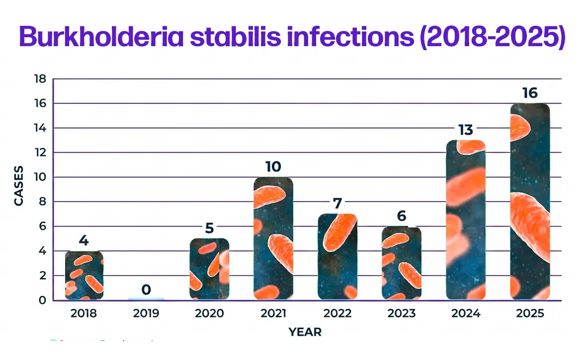 Burkholderia stabilis ST480 cases in the UK since 2018 (Tyla)