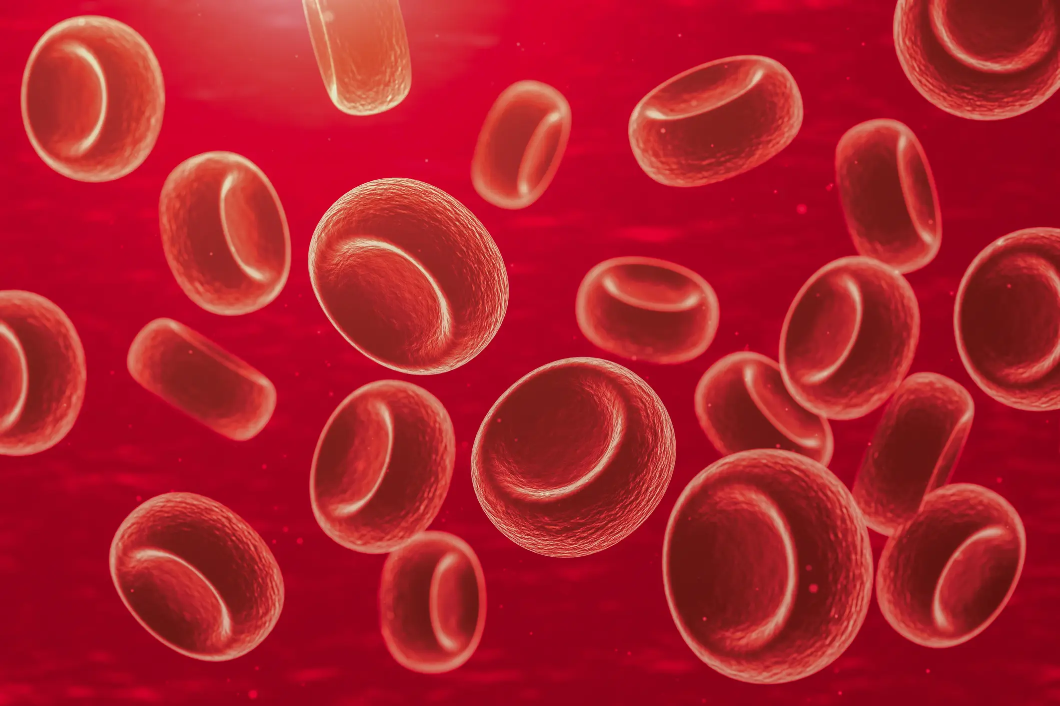 Iron is important in making red blood cells, which carry oxygen around the body (MR.Cole_Photographer / Getty Images)