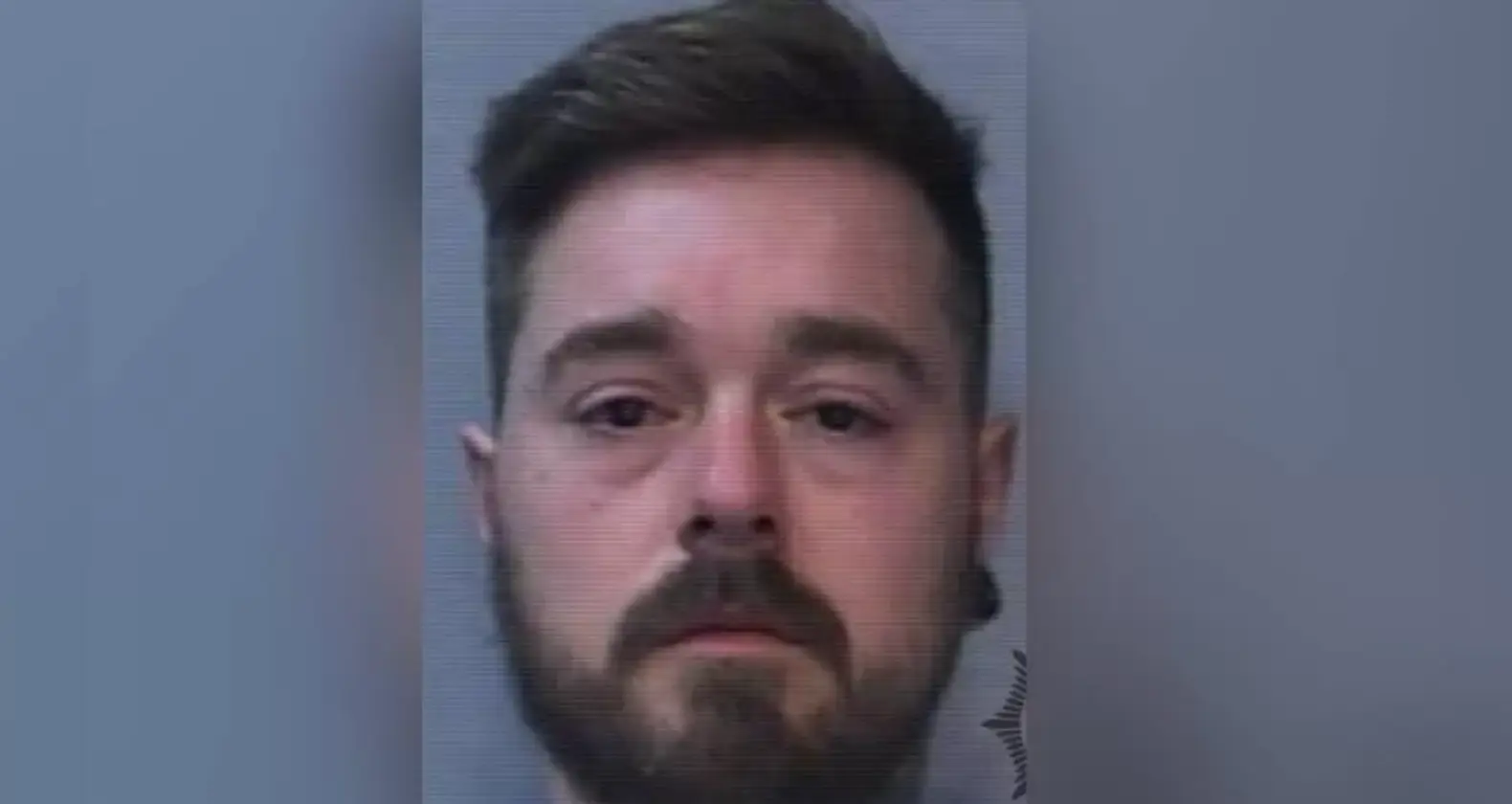 Daniel pled guilty to the heinous crimes.