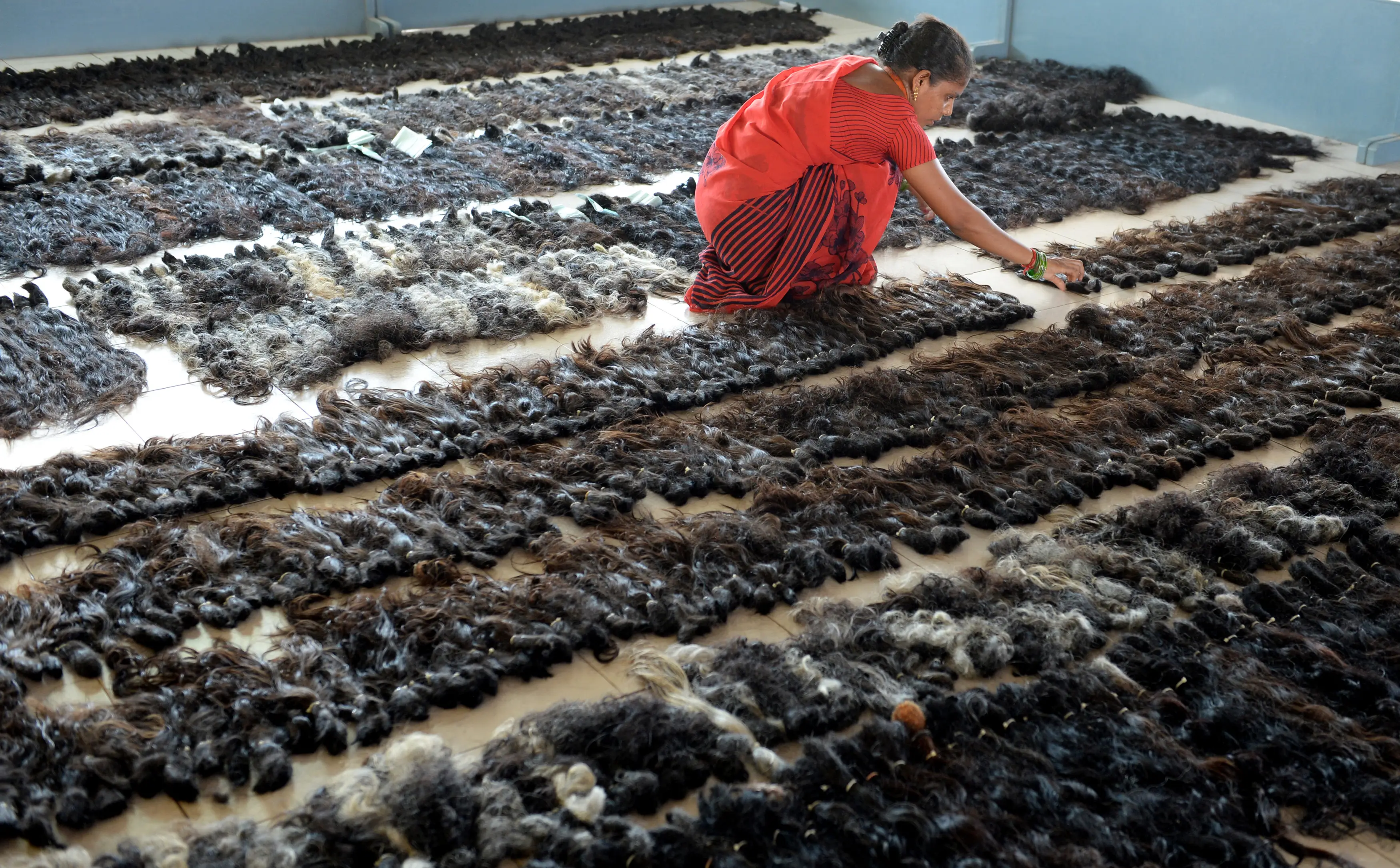 A woman sorts through different grades of hair (ARUN SANKAR / AFP) (Photo by ARUN SANKAR/AFP via Getty Images)