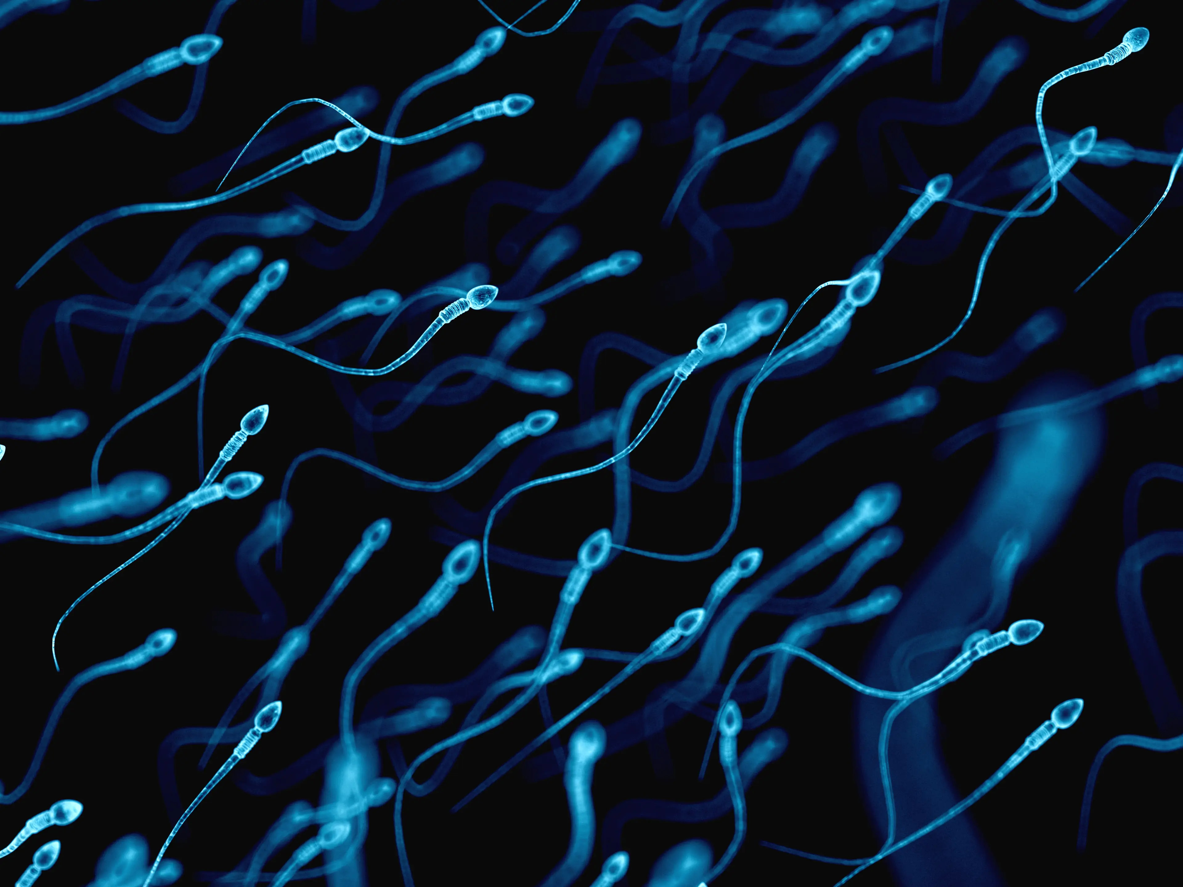 One scientific reason behind the phenomenon is that sperm don't always do as well in the heat (Getty Stock Image)