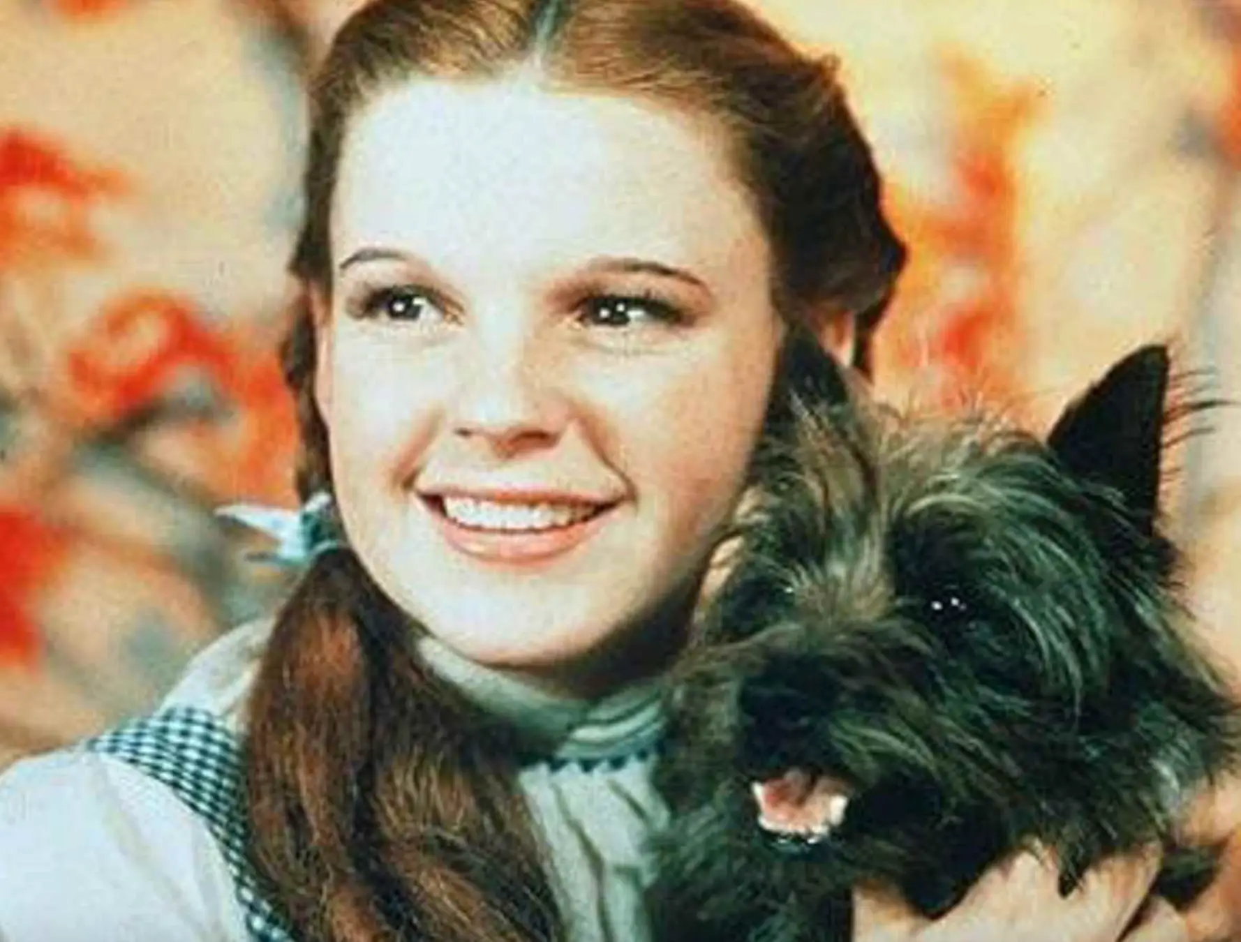 The original Toto in the 1939 film was played by a black Cairn Terrier (Warner Bros.)
